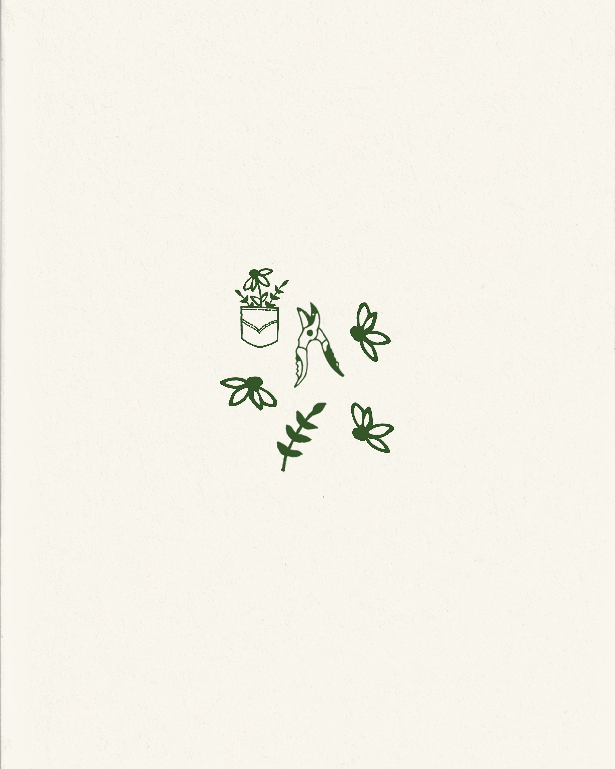 mock_wildlfower_illustrations.jpg