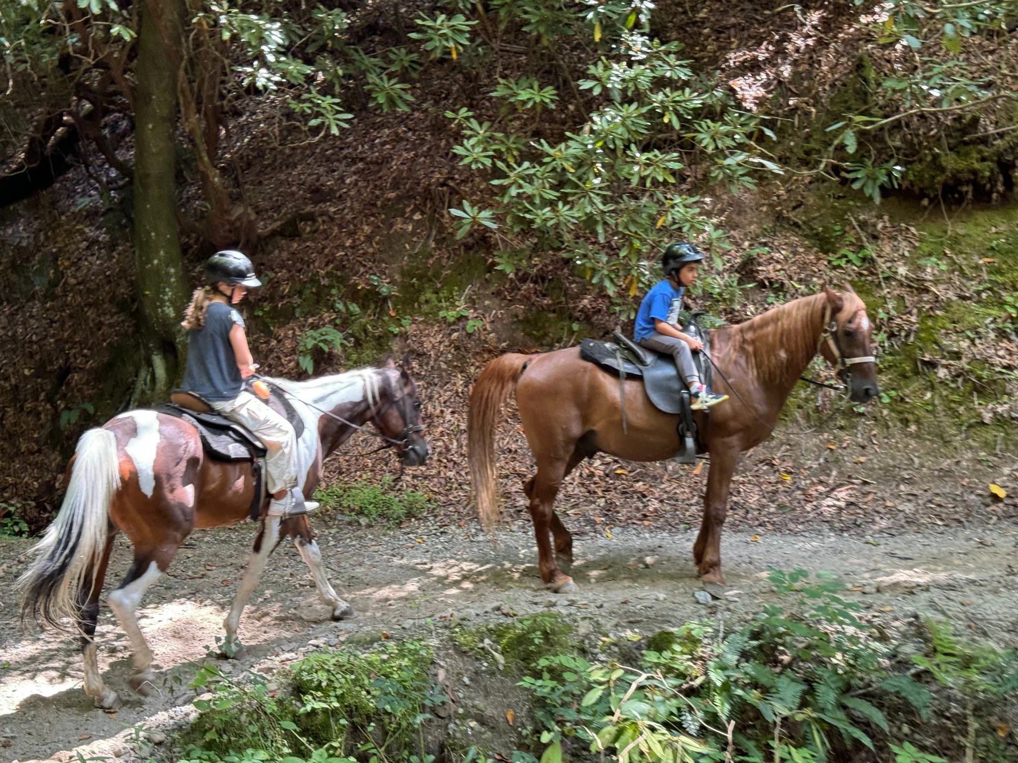 06-riding-the-smokies.jpg