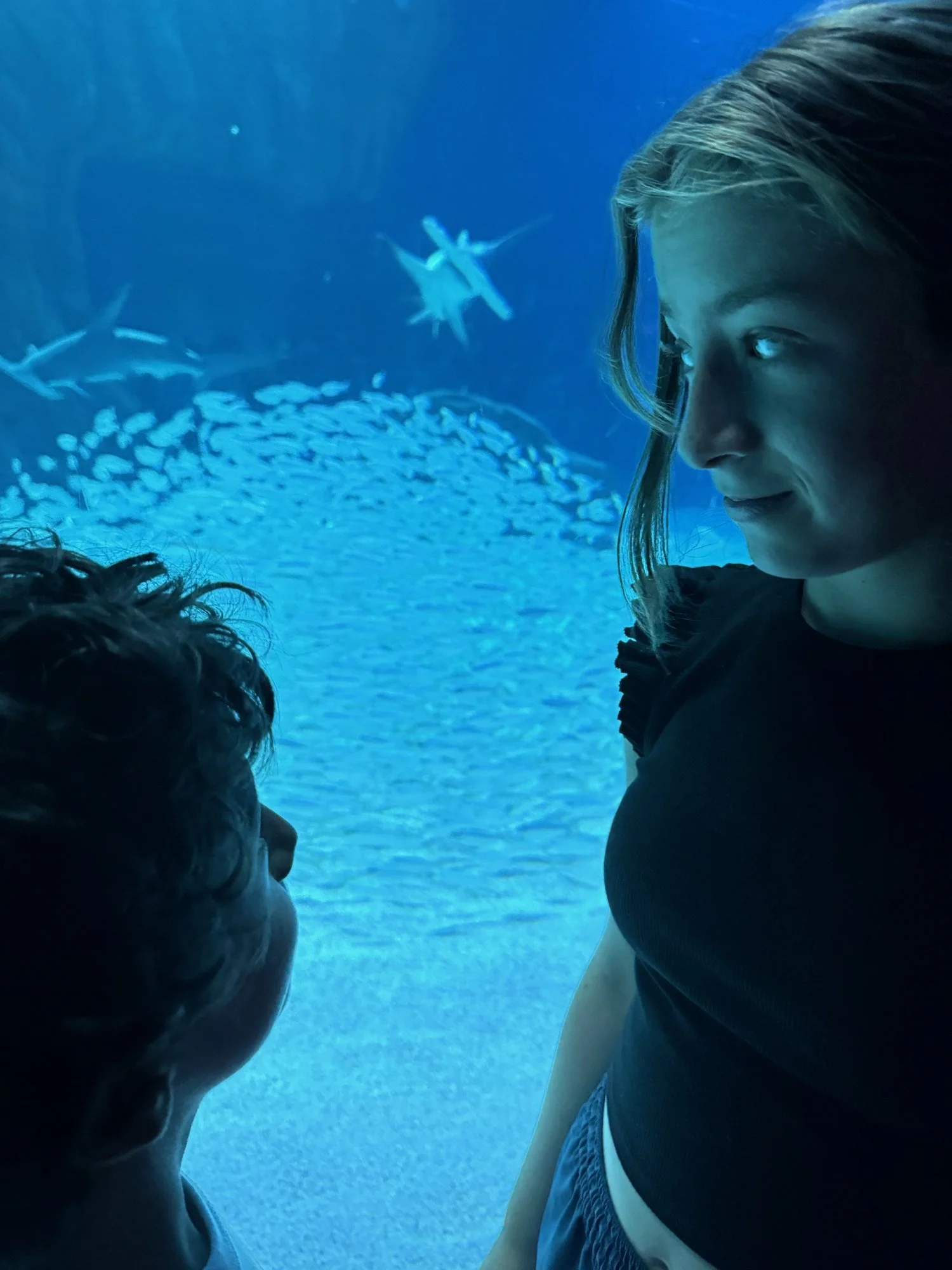 01-into-the-big-blue.jpg