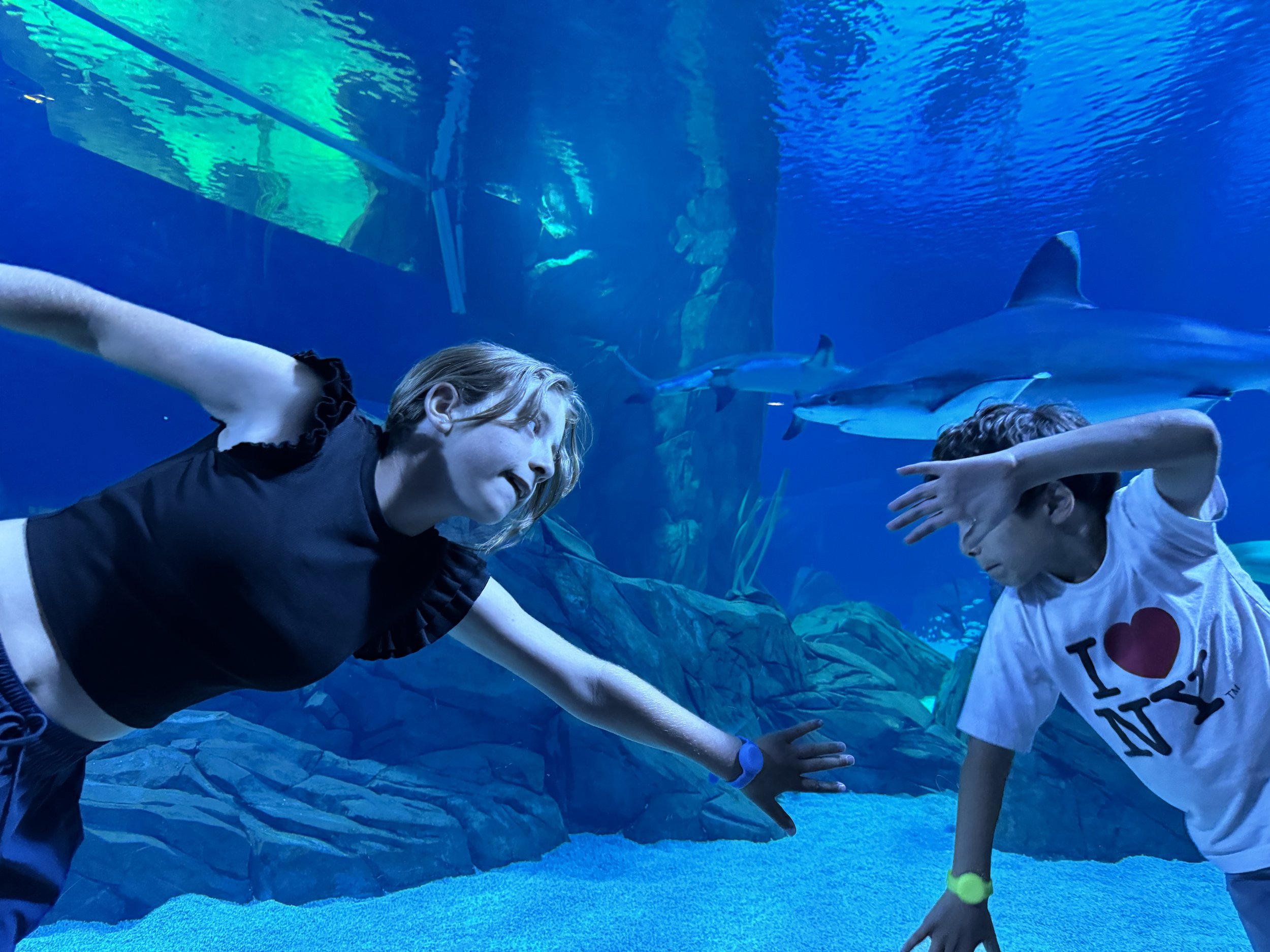 swim sarks.JPG