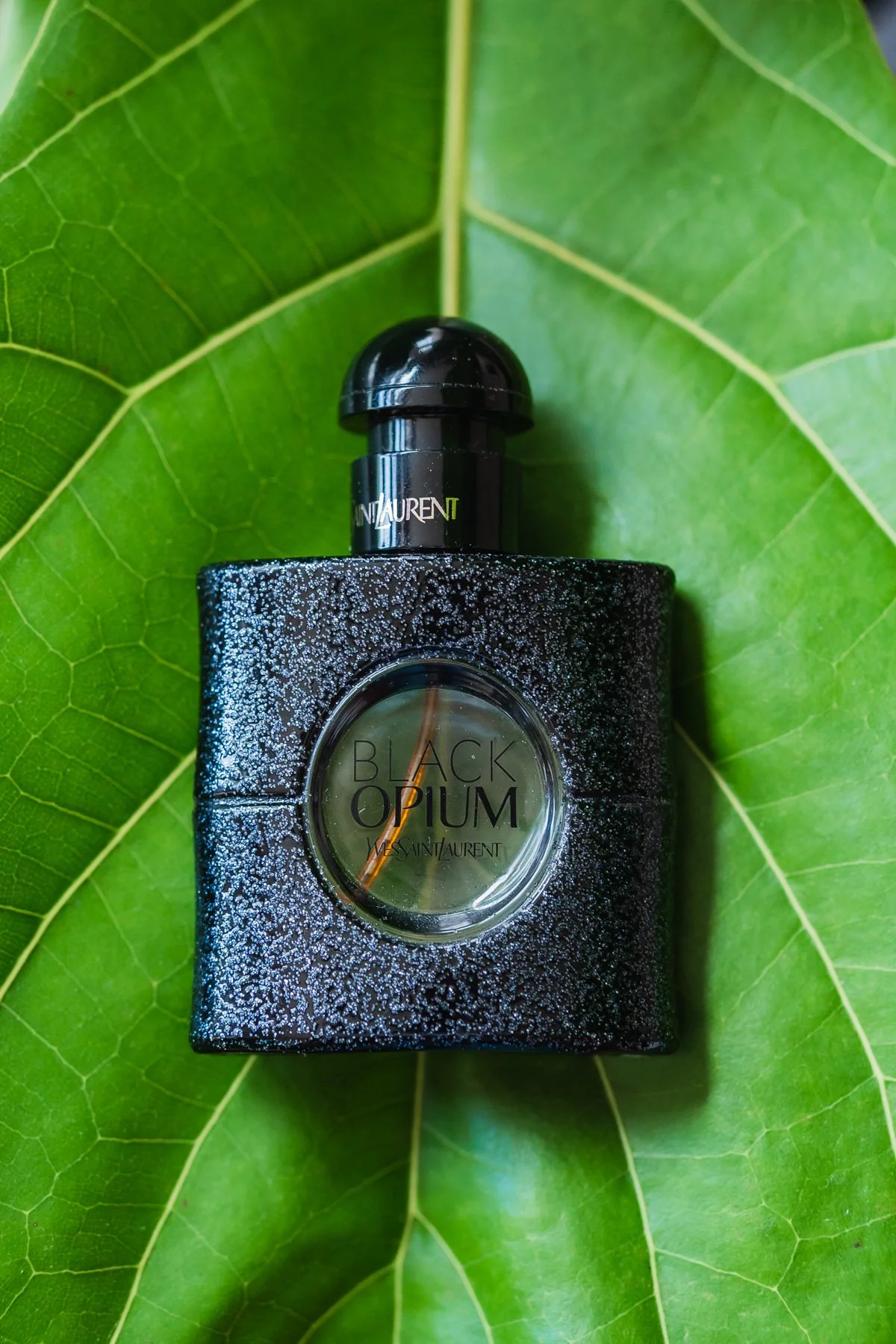 Black Yves Saint Laurent Black Opium perfume bottle on a green leaf background.