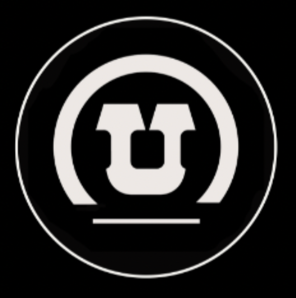                         UNDIE FEST 4