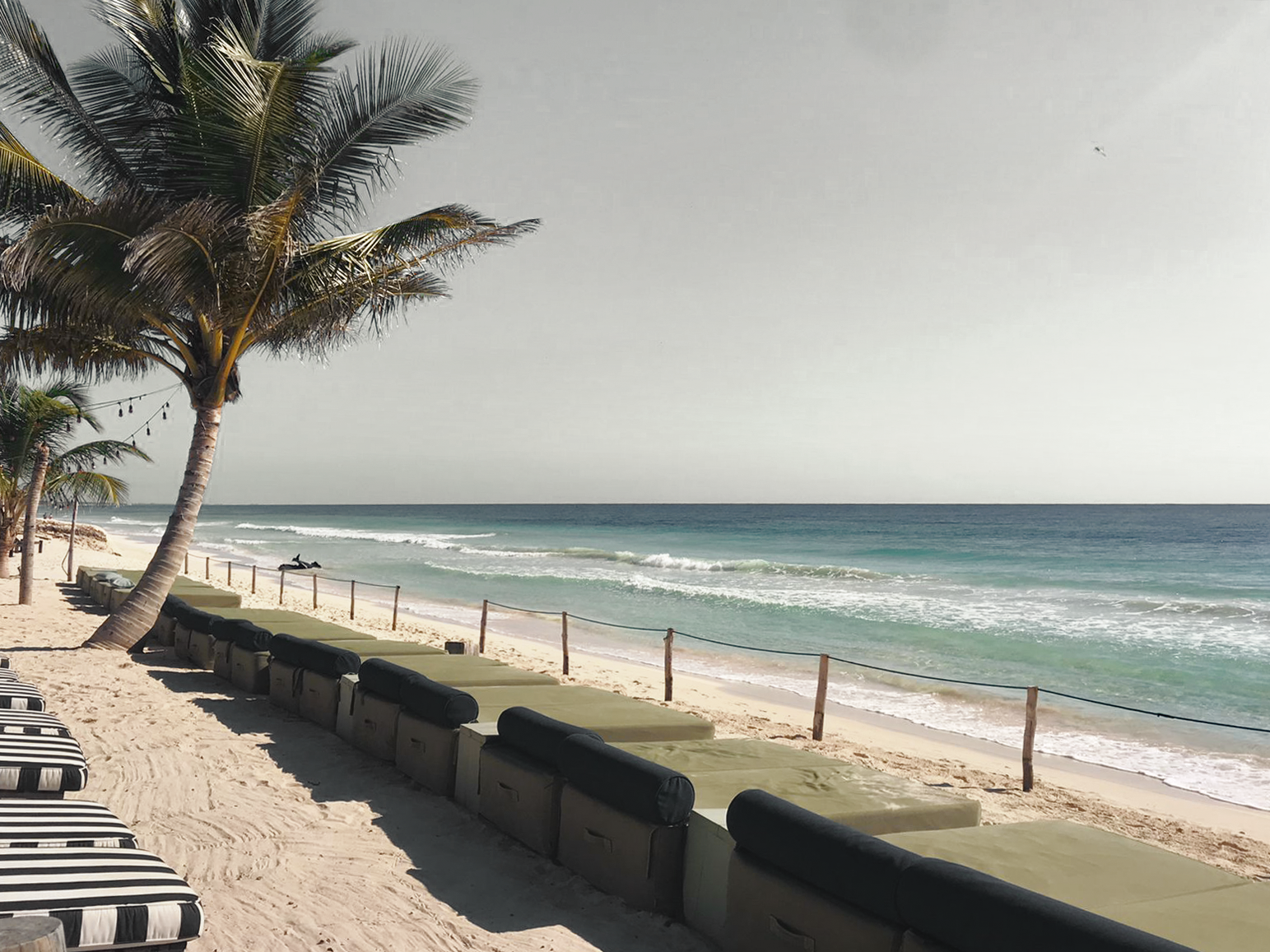 Copy of Beach5.png