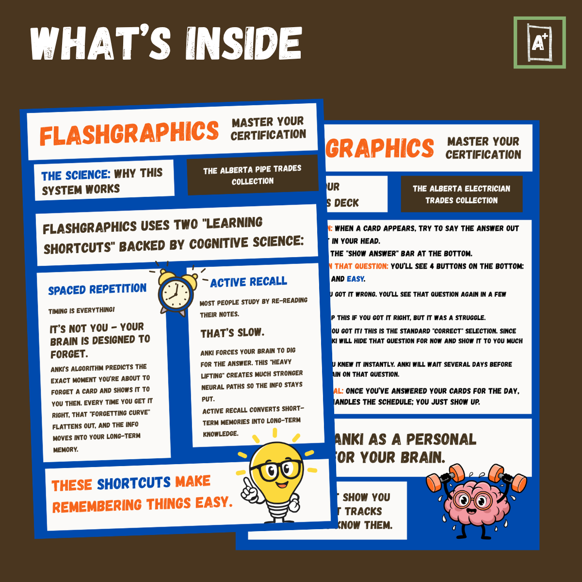 What's inside (5).png