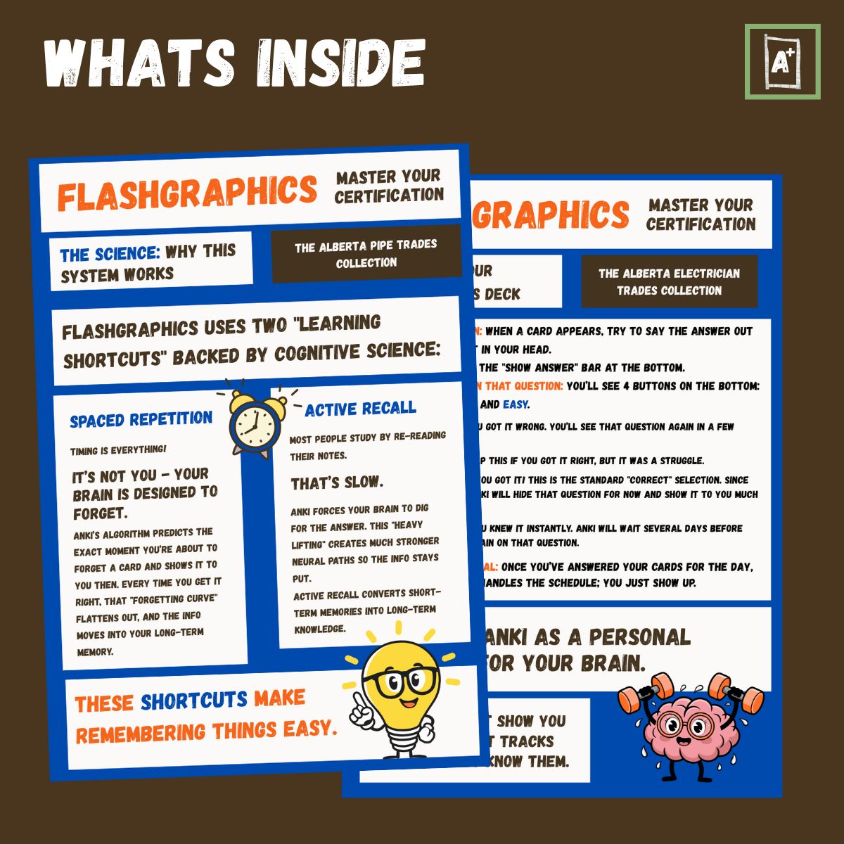 What's inside (3).png