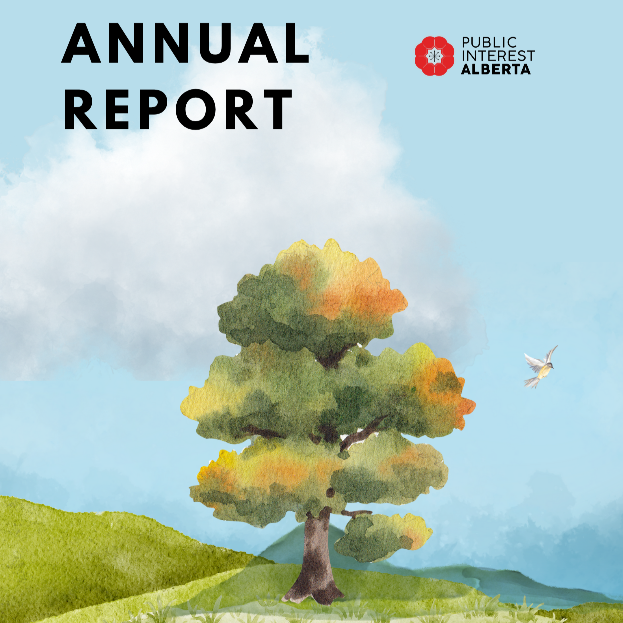 Public Interest Alberta | 2025 Annual Report
