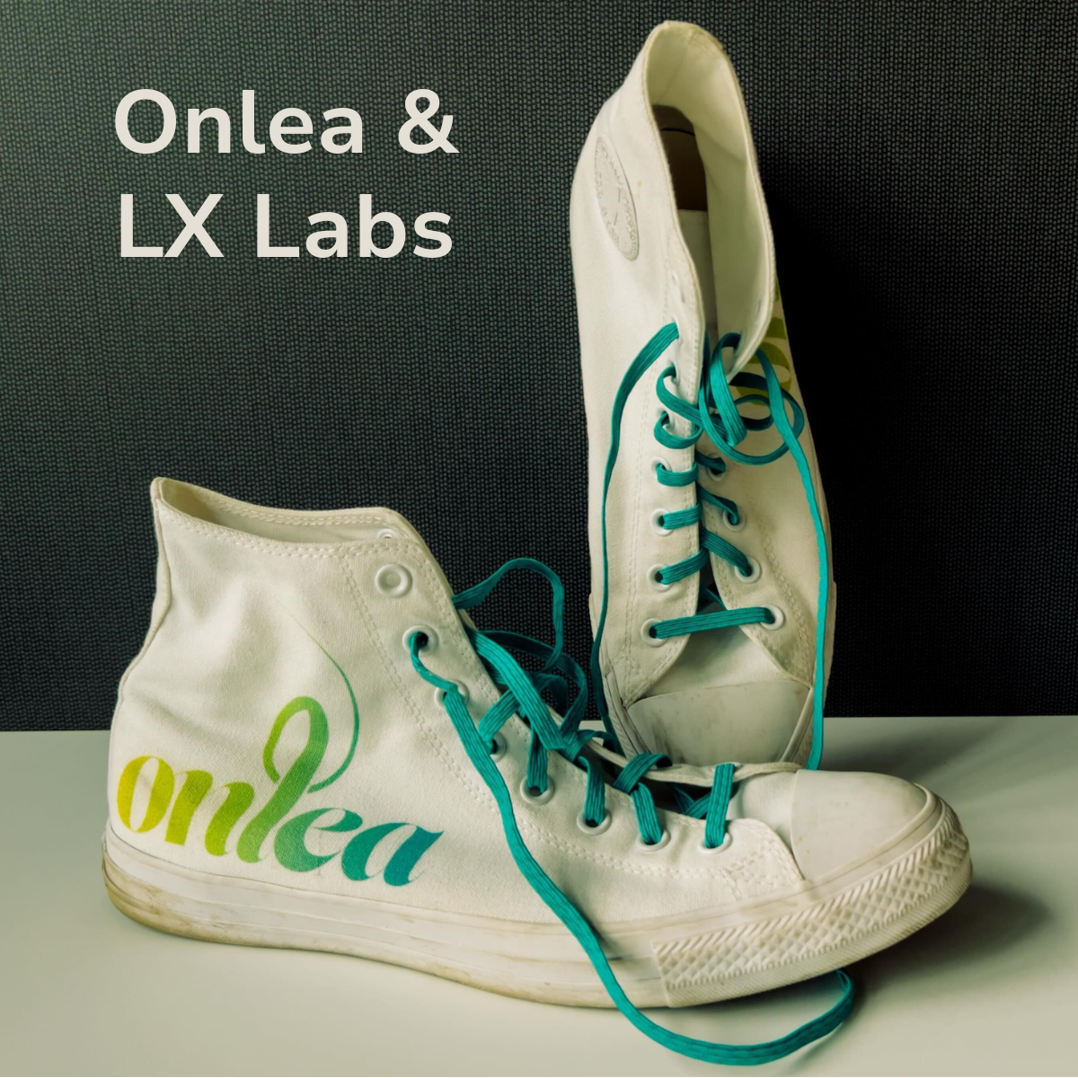 Onlea & LX Labs Projects