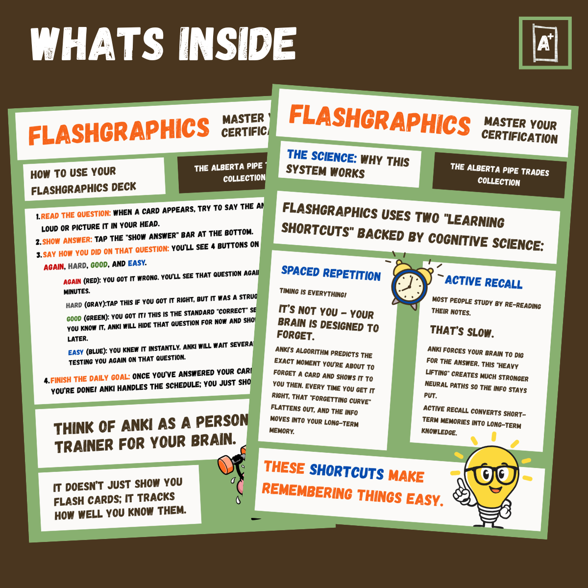 What's inside (3).png