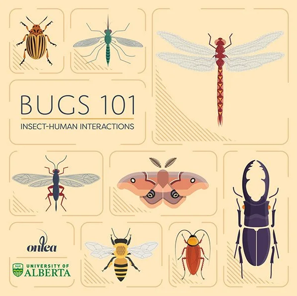 University Of Alberta - Bugs 101