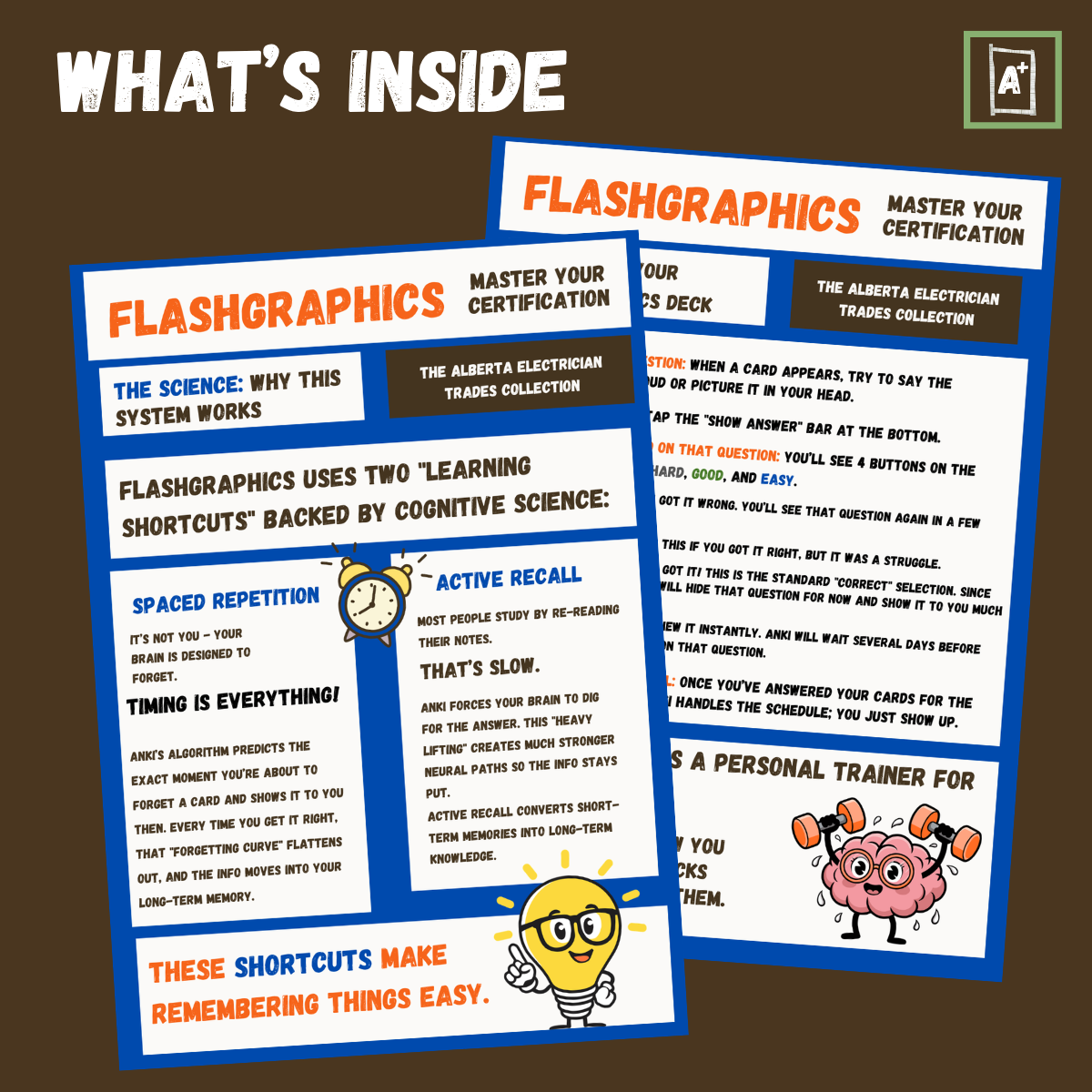 What's inside (5).png