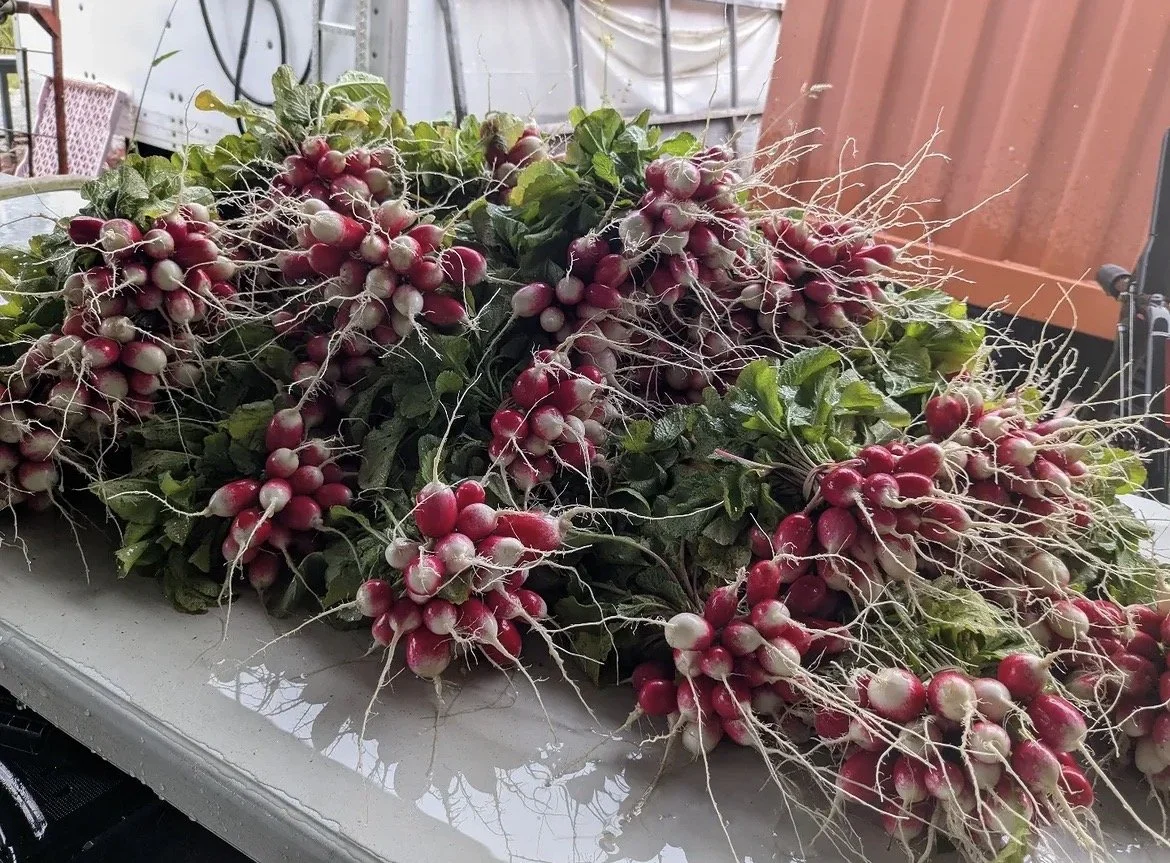 Weekly Farm Stand!