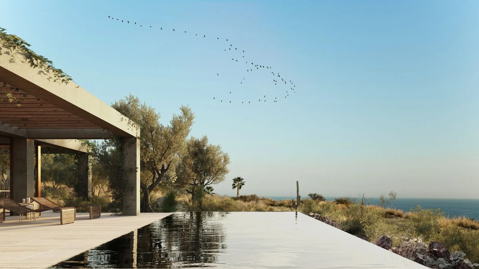 Cima_Casa Origen 5 (1).jpg