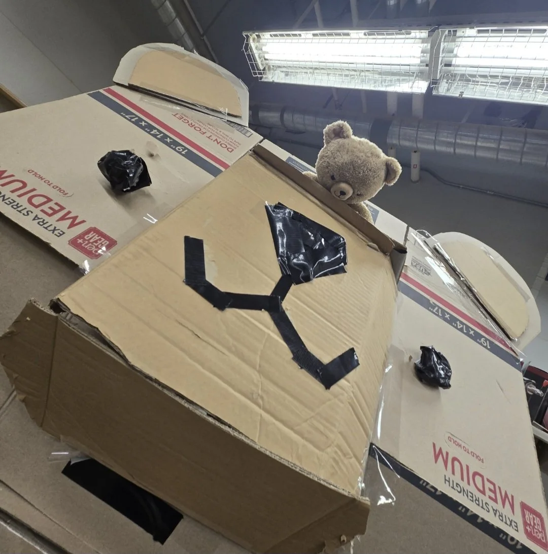 Cardboard Teddy