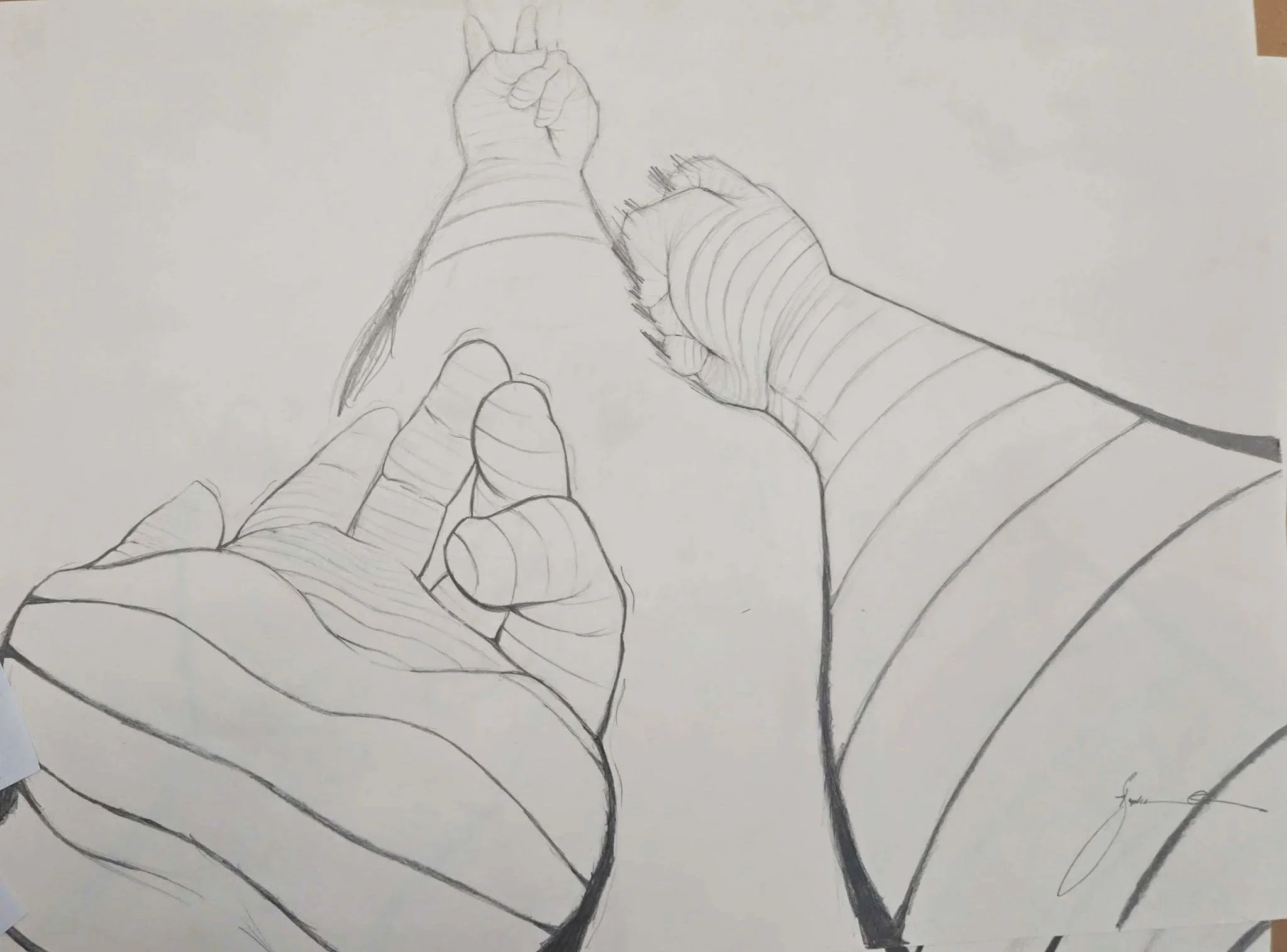 Quest for Peace (Cross-Contour Study)