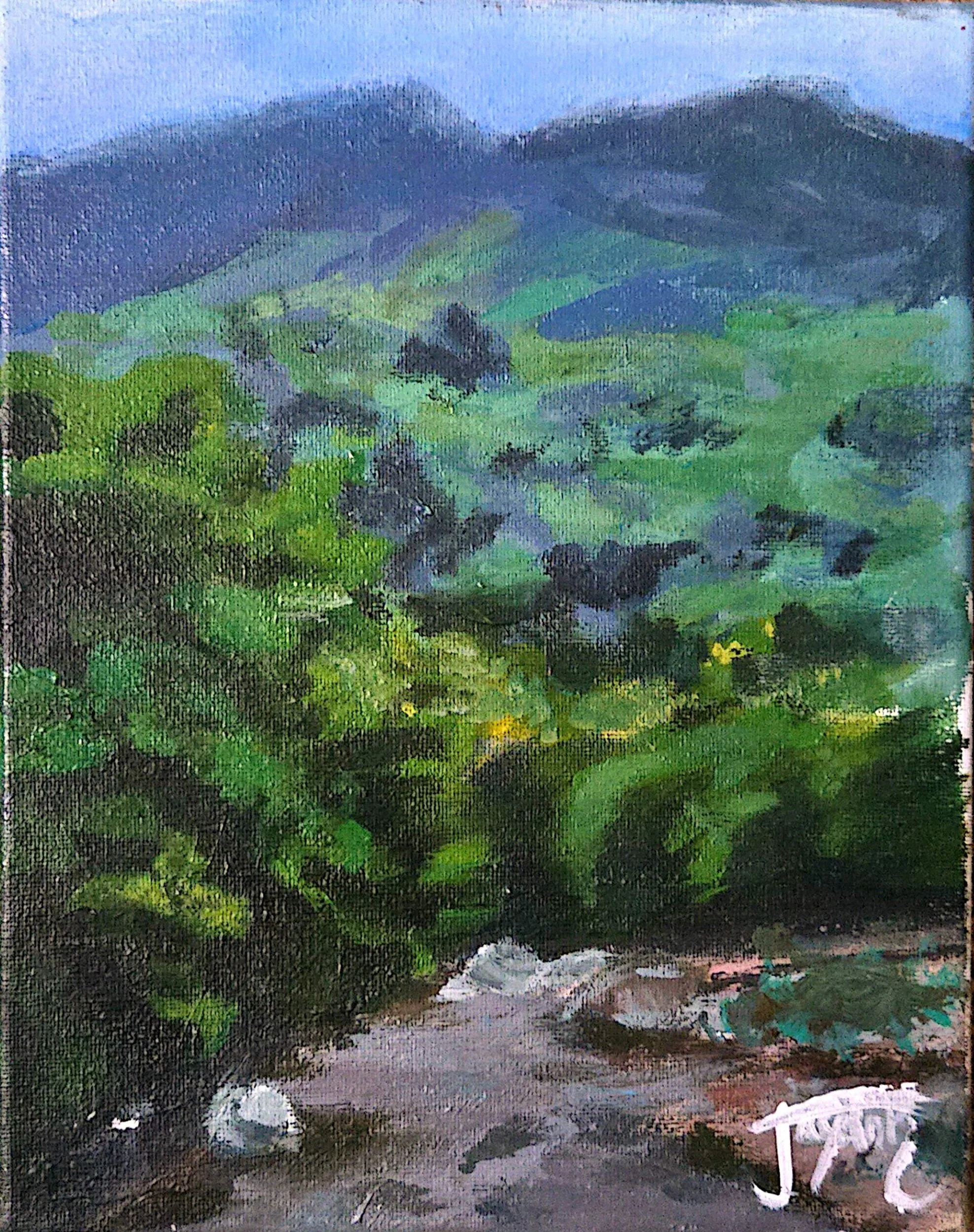 Landscape Study I