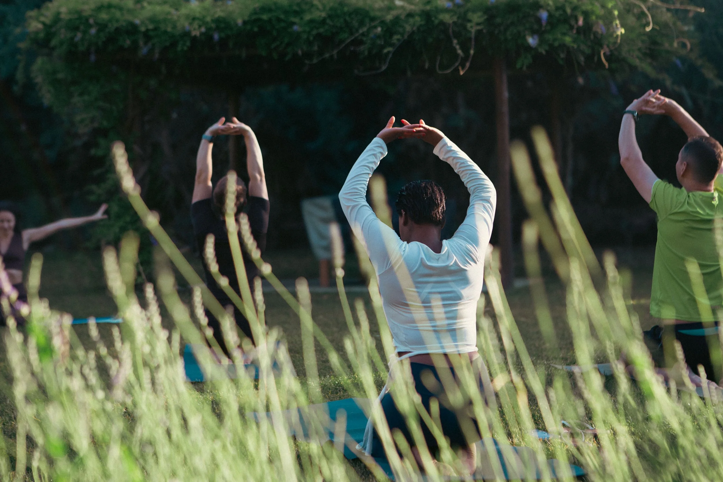 People participating in an outdoor yoga or meditation class in a park, with trees in the background and tall grass in the foreground.