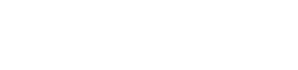 DICOFRA Cyber Security