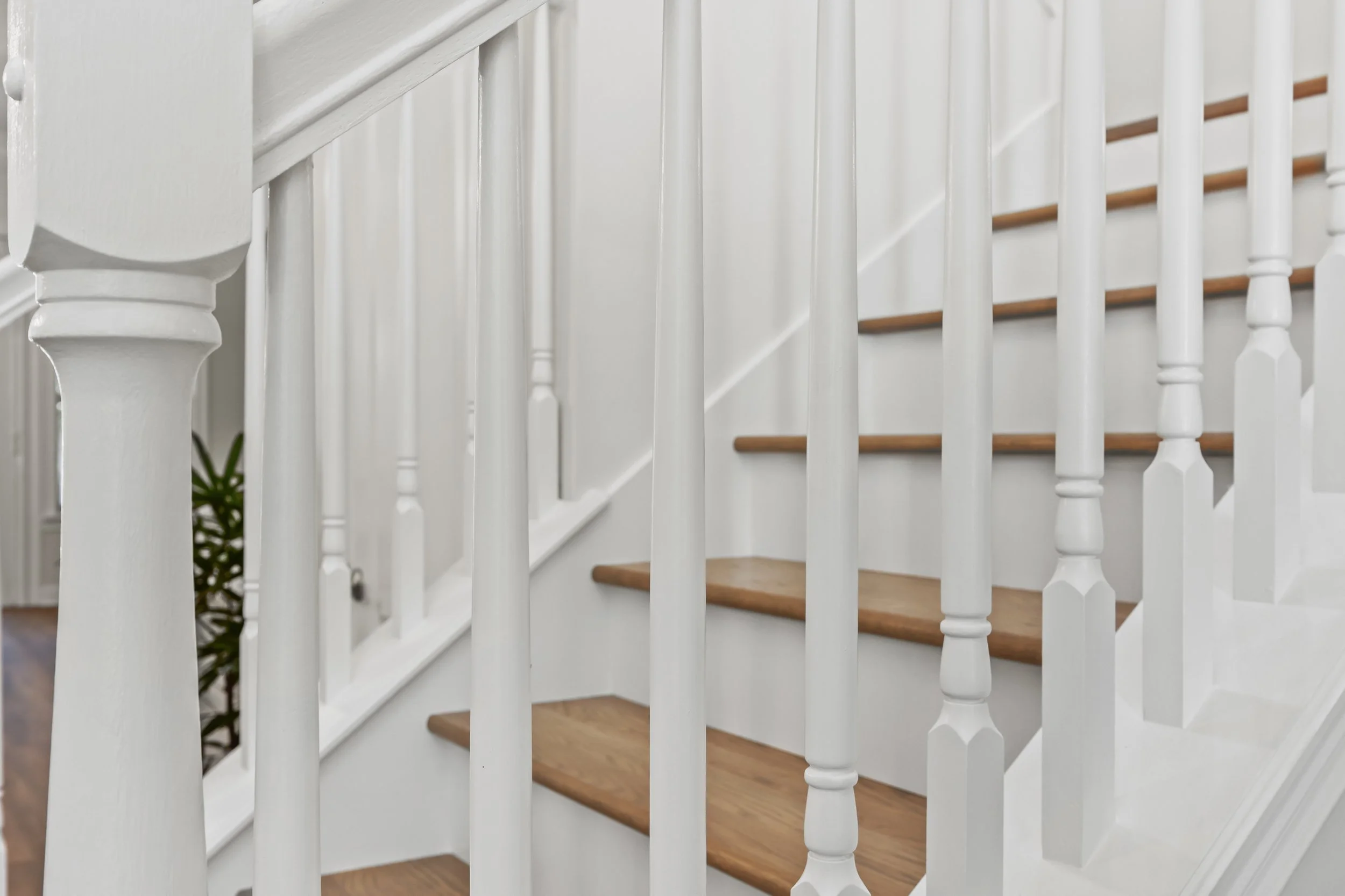 536 Honey Locust-60.jpg