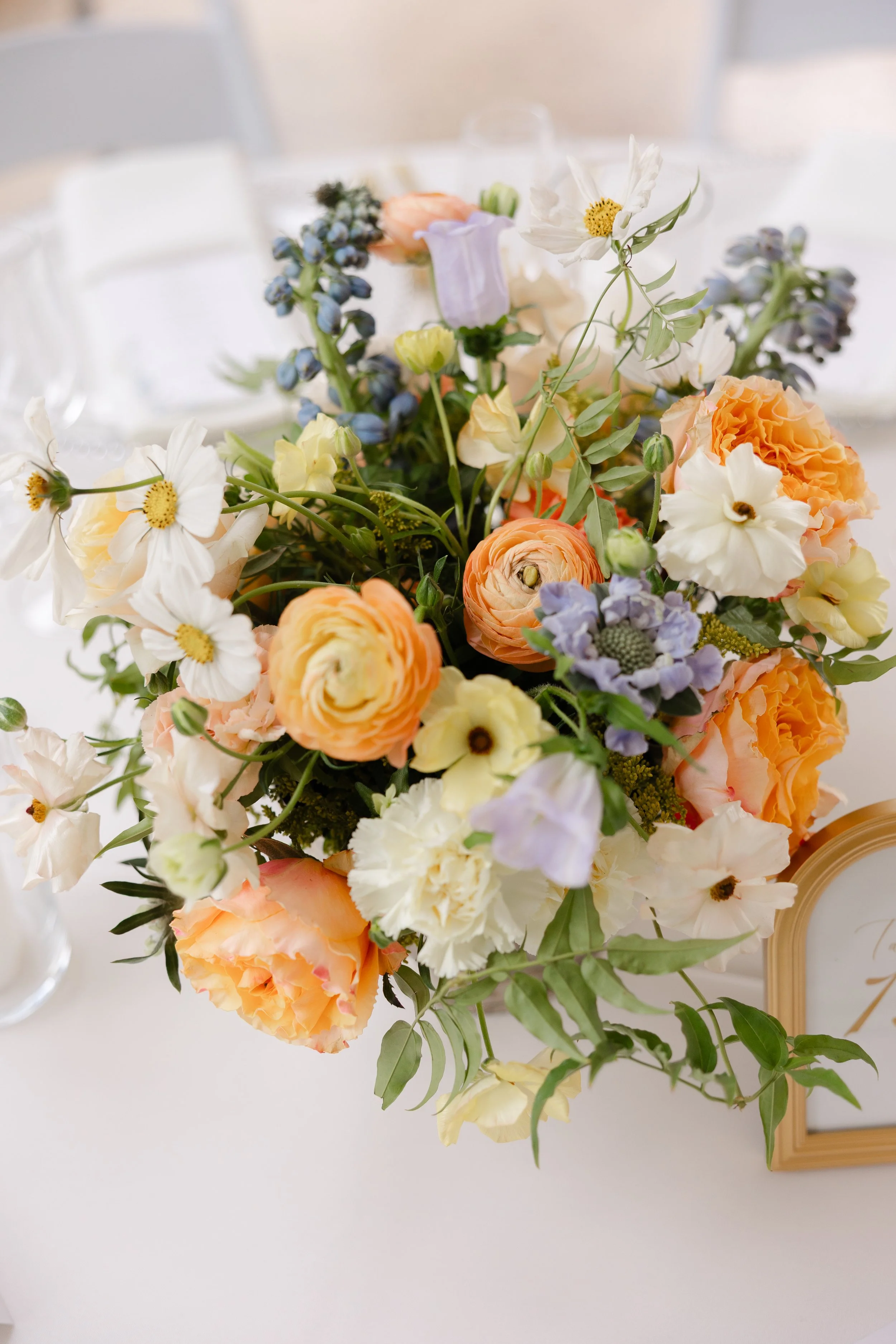 JanineBrandonWedding-428.jpg