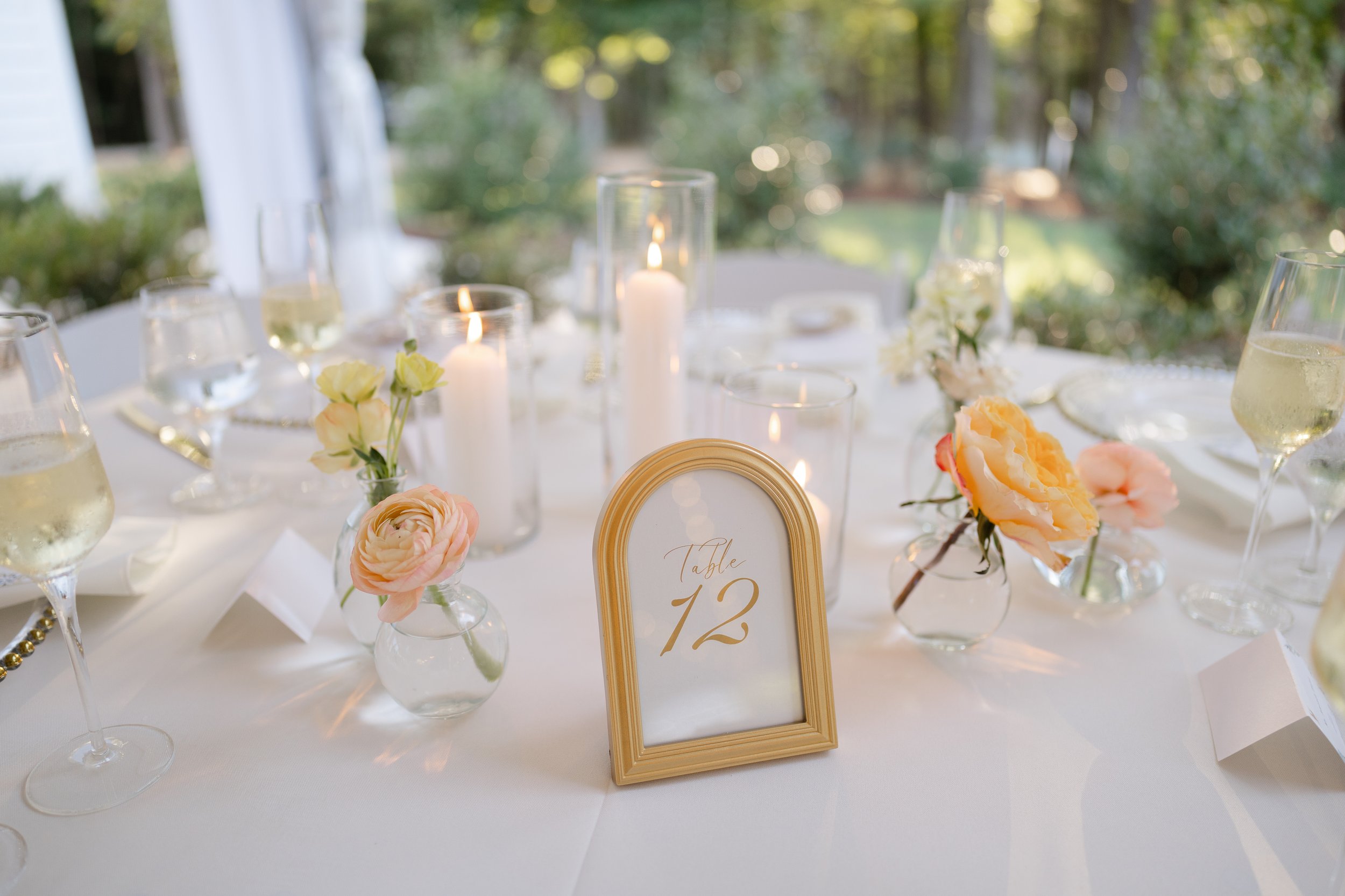 JanineBrandonWedding-689.jpg