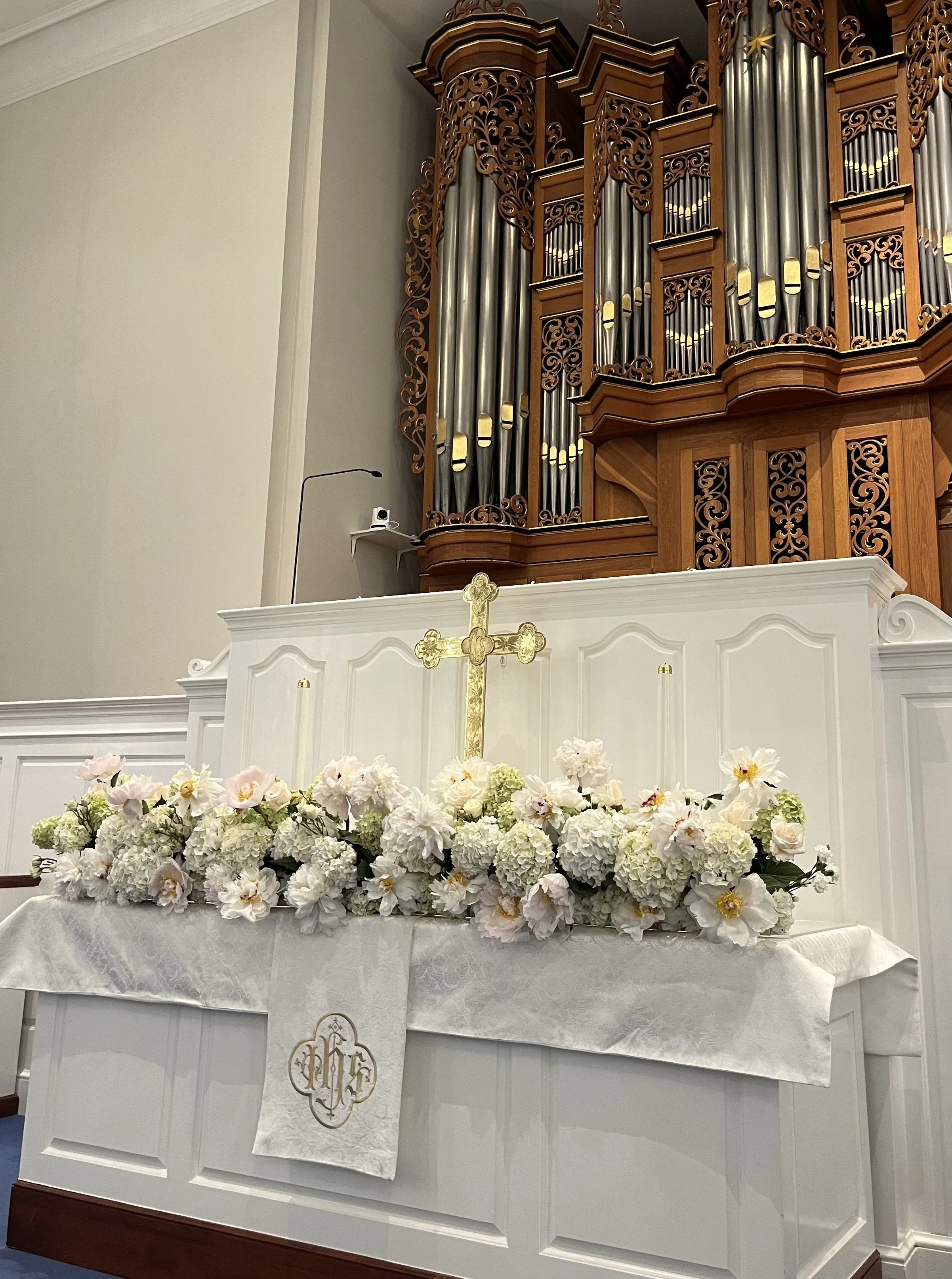 IMG_5906.jpeg