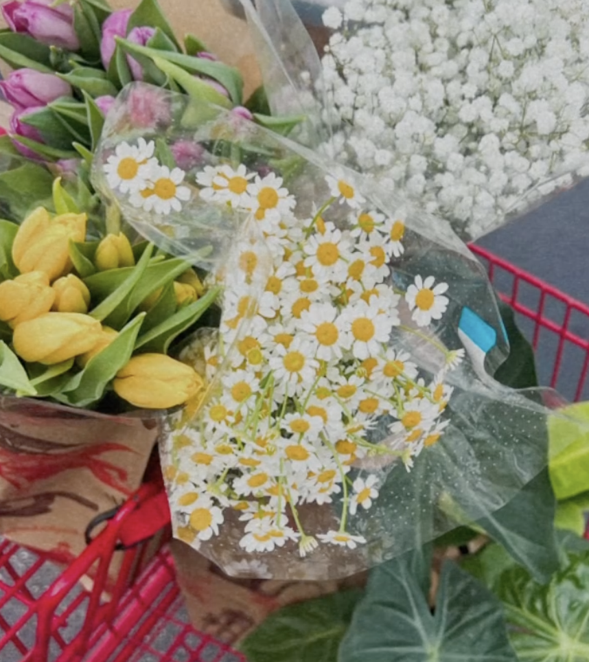 Screenshot 2024-09-17 at 10.15.19 PM.png