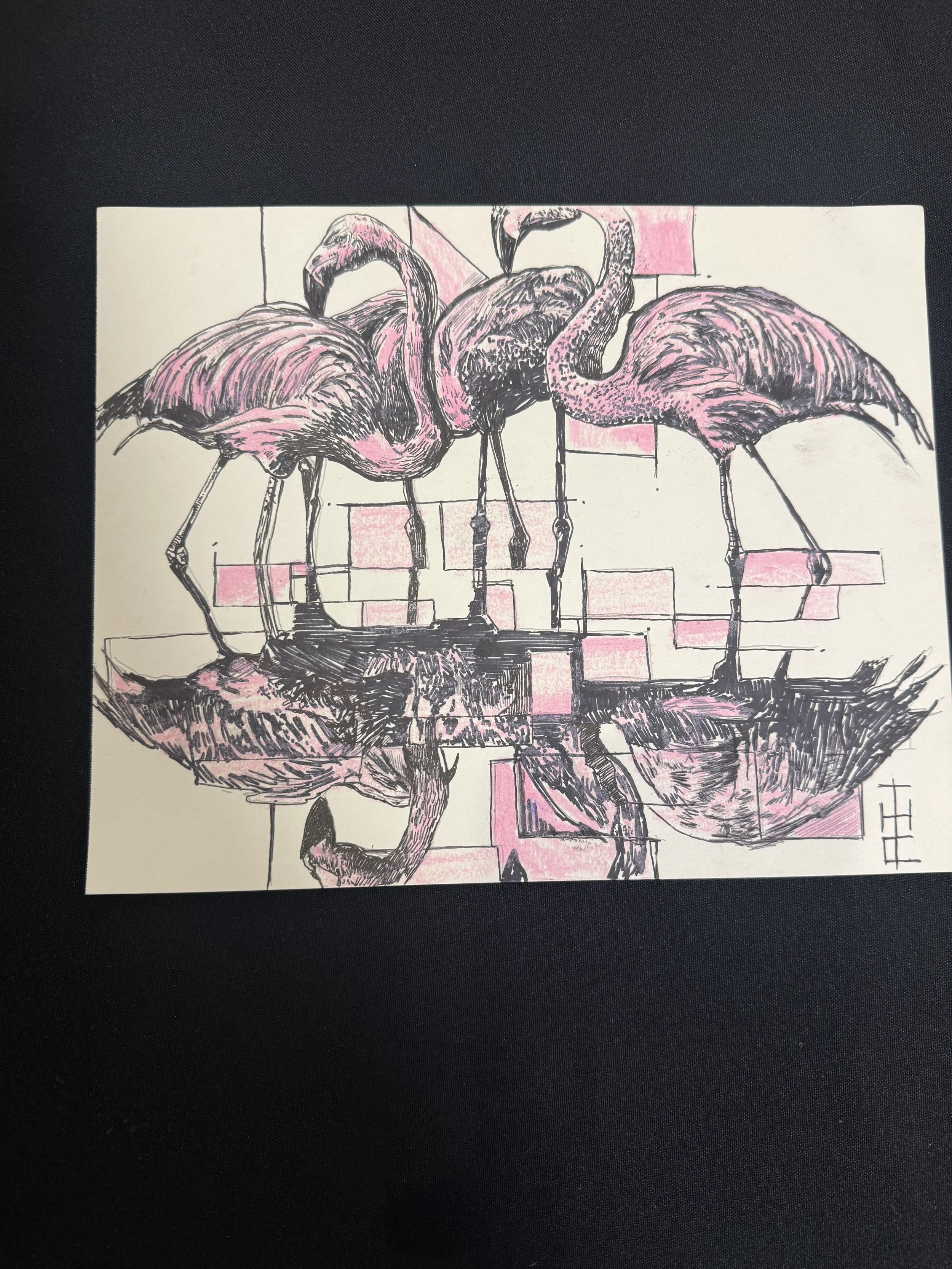 Fragmented Flamingos