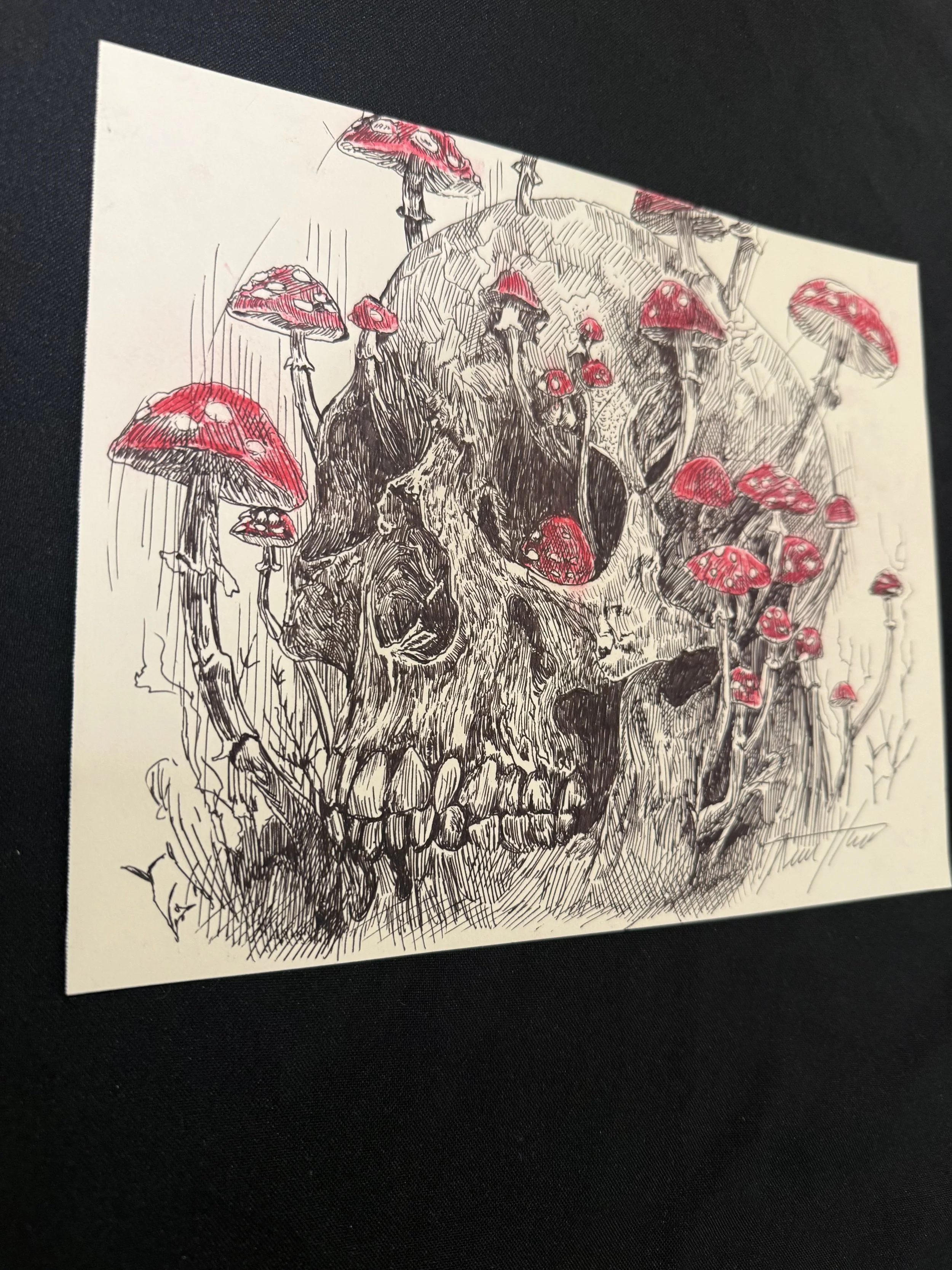 "Fungal Ressurection" Original Drawing