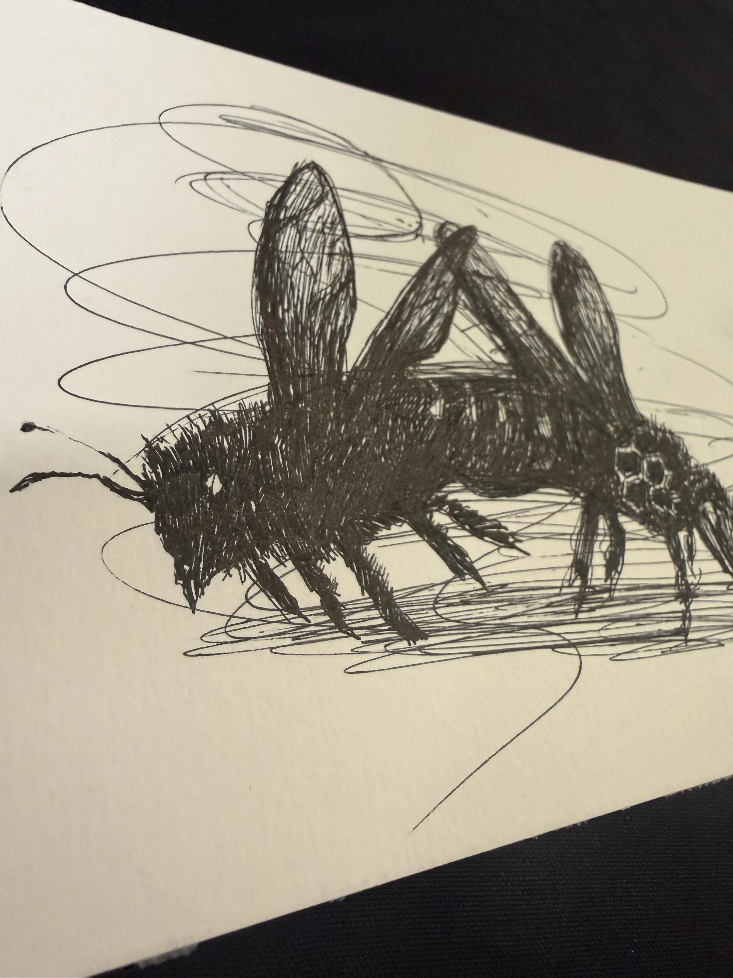 "Sting" Original mini drawing