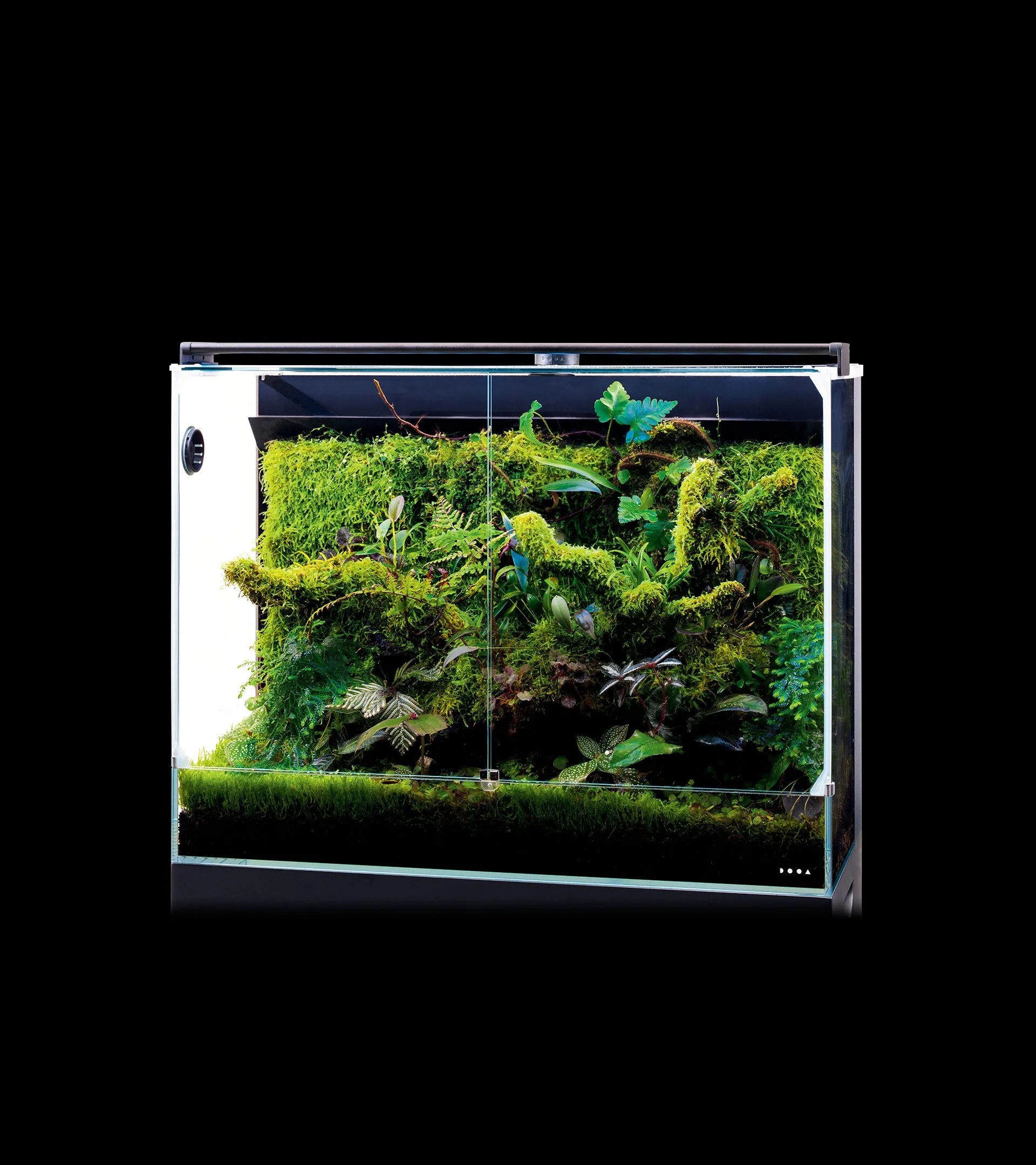 A glass terrarium filled with lush green plants, moss, and small tropical plants, illuminated by a mounted light overhead.