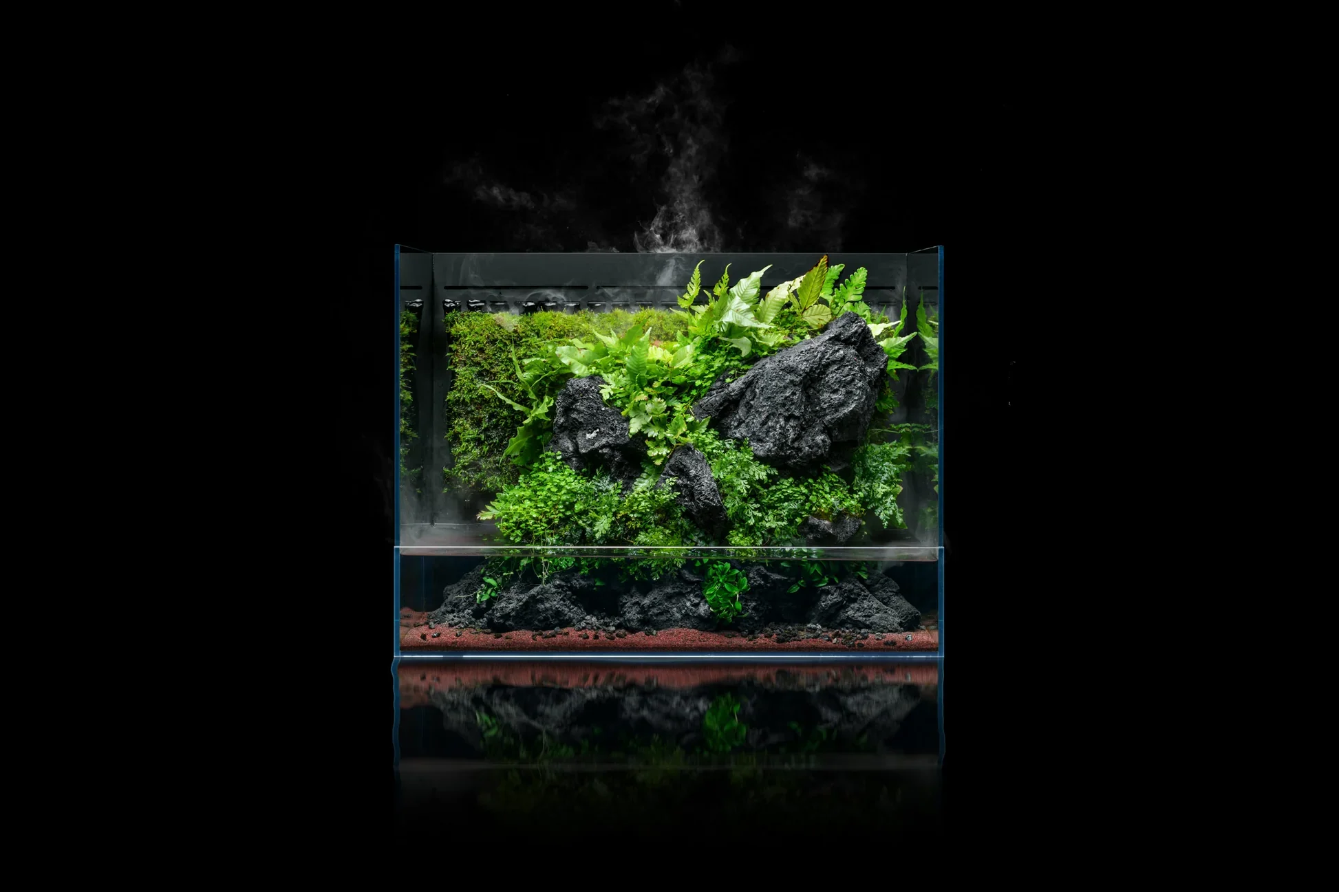 A terrarium with lush green plants, black rocks, and red soil against a black background.