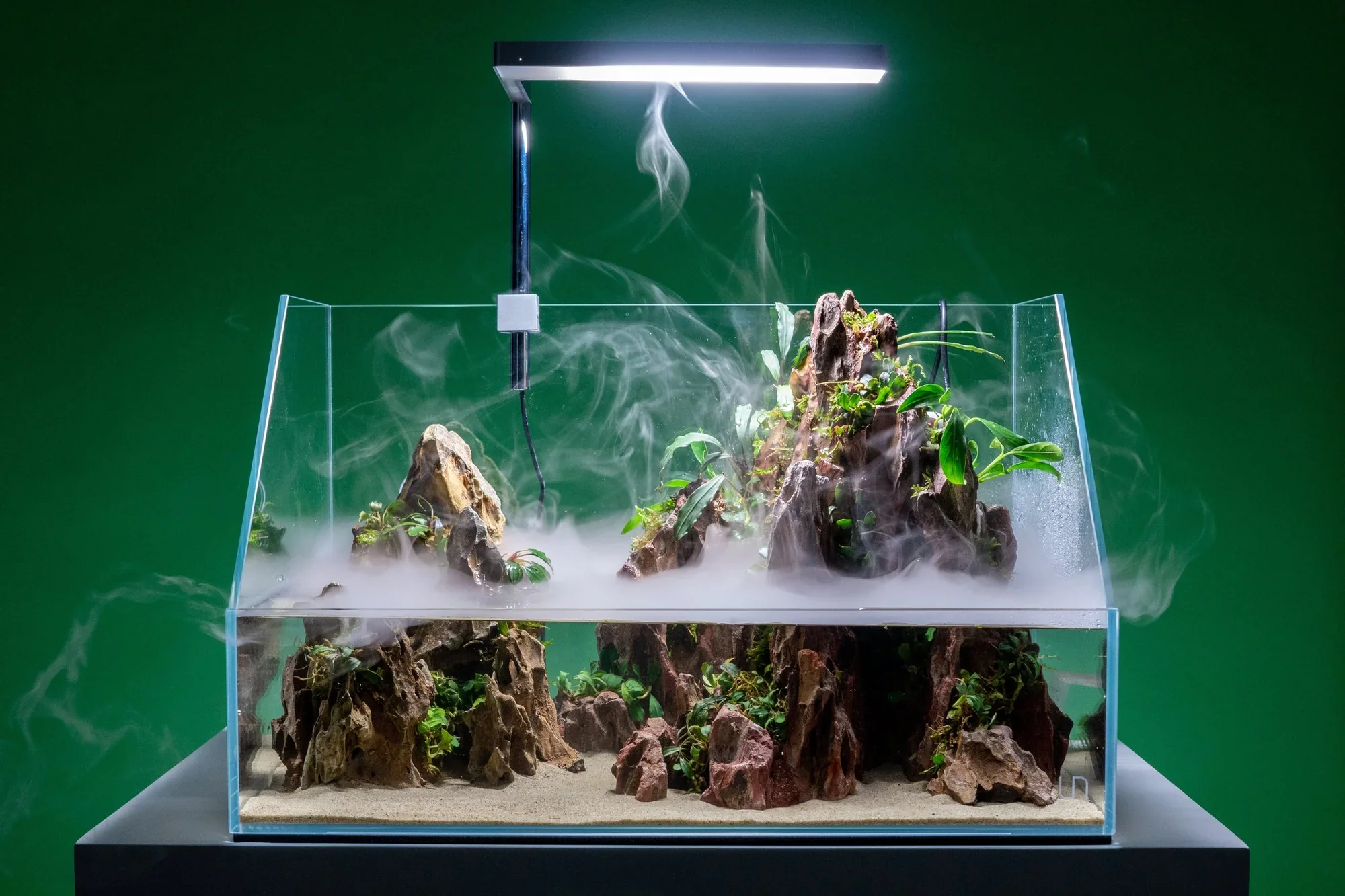 A terrarium with rocks, plants, and mist under a bright overhead light, set against a green background.