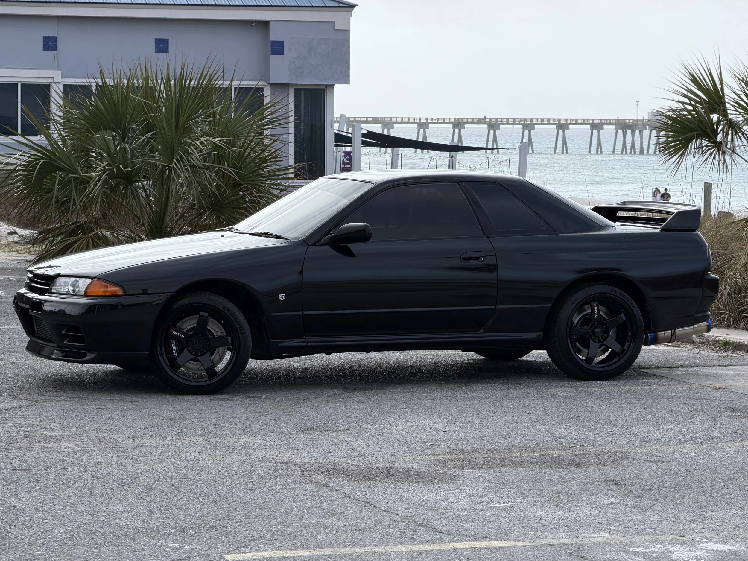 A black sports car parked on pavement near a beach, with a large plant partially obscuring the front of the car, and a pier extending into the water in the background.