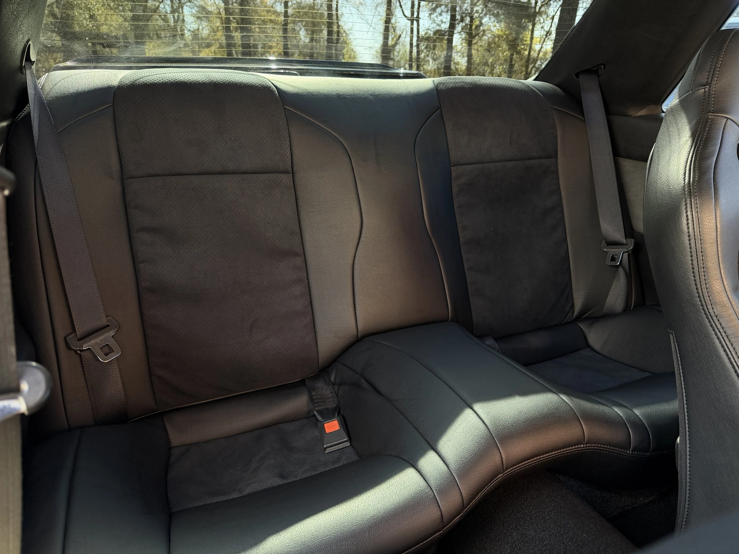 The back seat of a car with black leather seats and black seat belts, with a forest visible through the rear window.