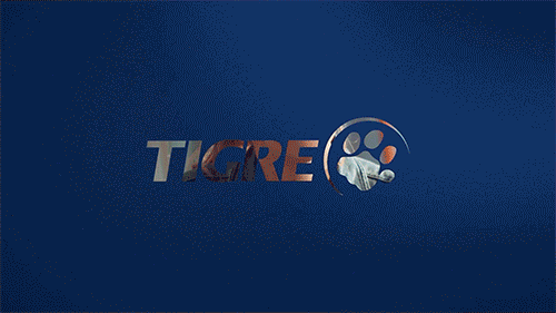 Tigre - Até que a Obra nos separe