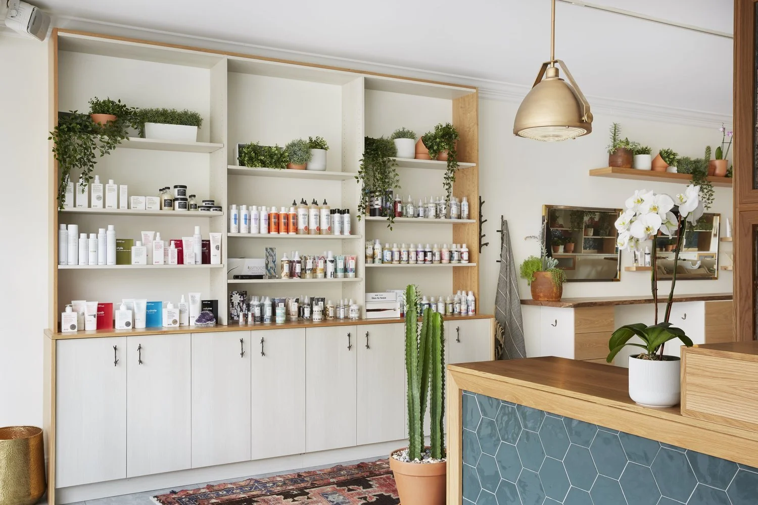 Noble Bear Salon