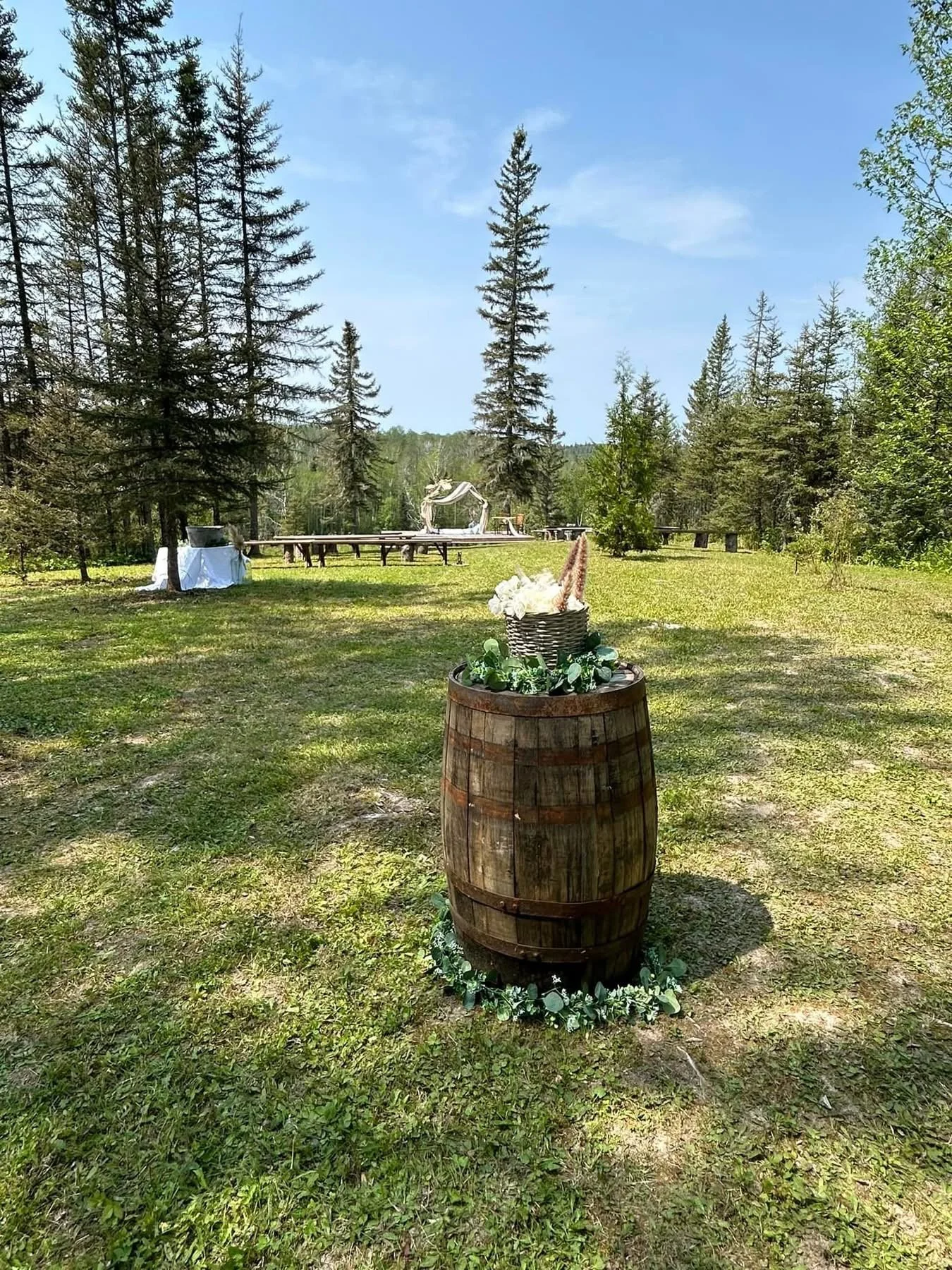 IMG_20250311_071404 (3).jpg