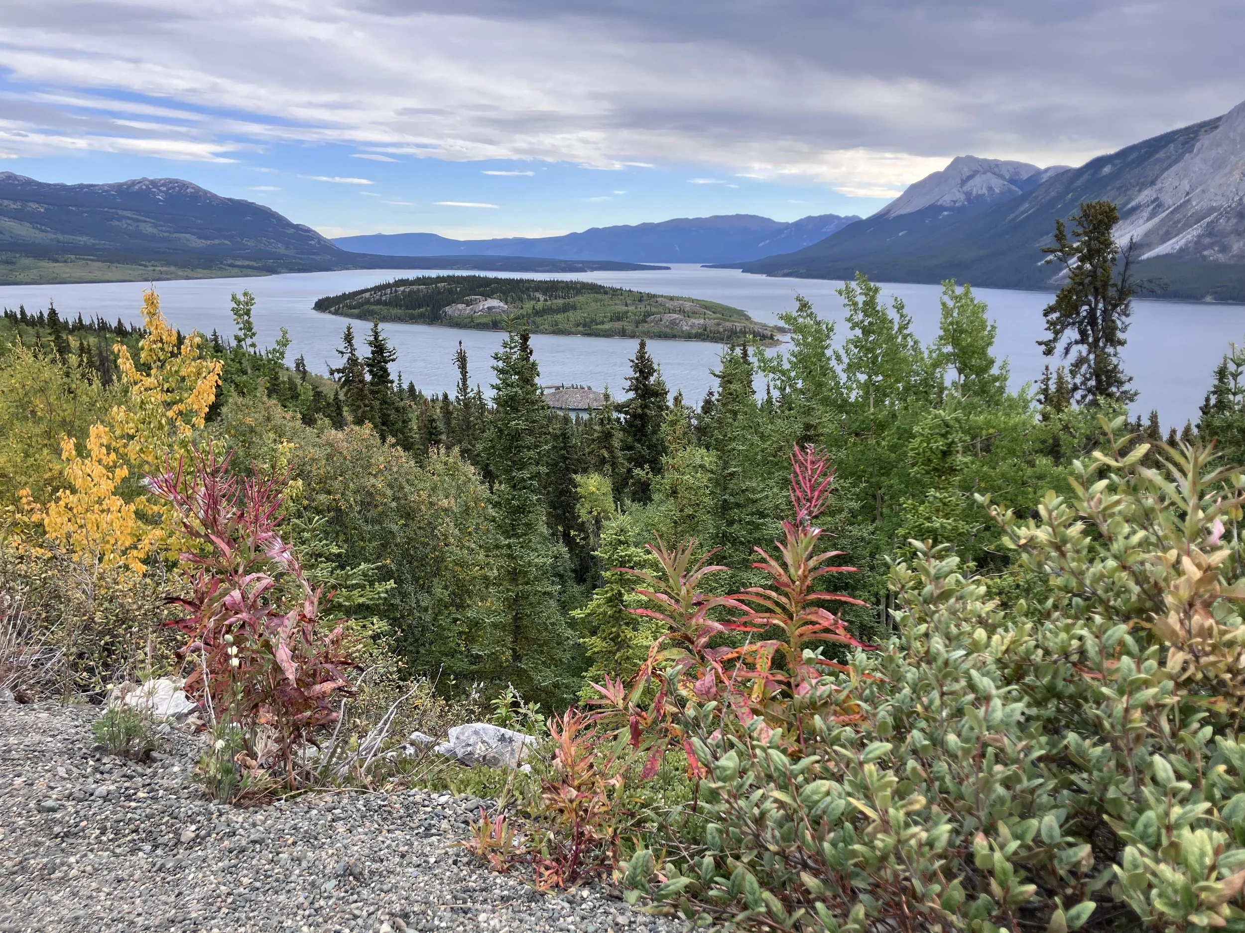 Fall in the Yukon