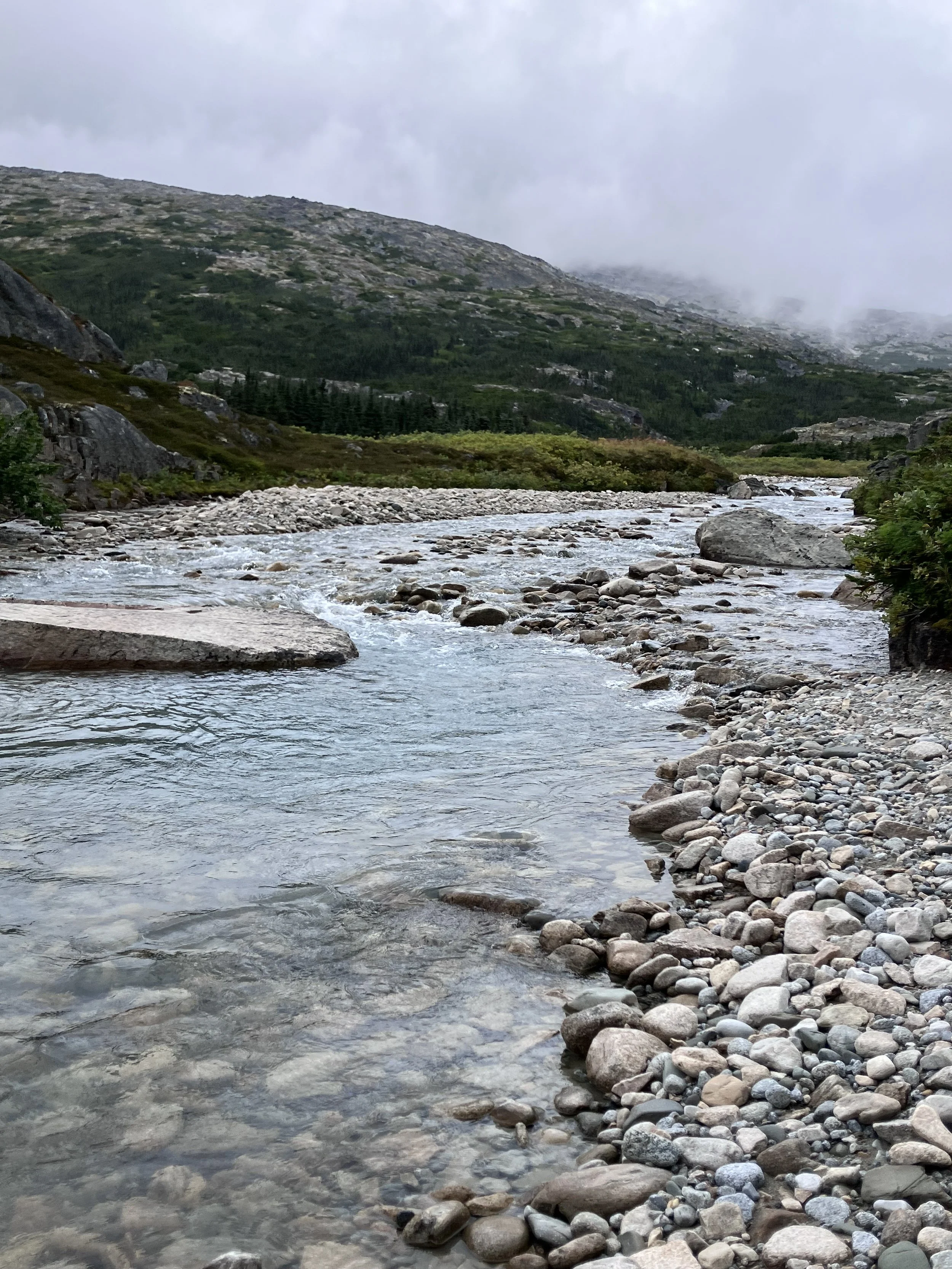 Stream outside of Skagway, Alaska