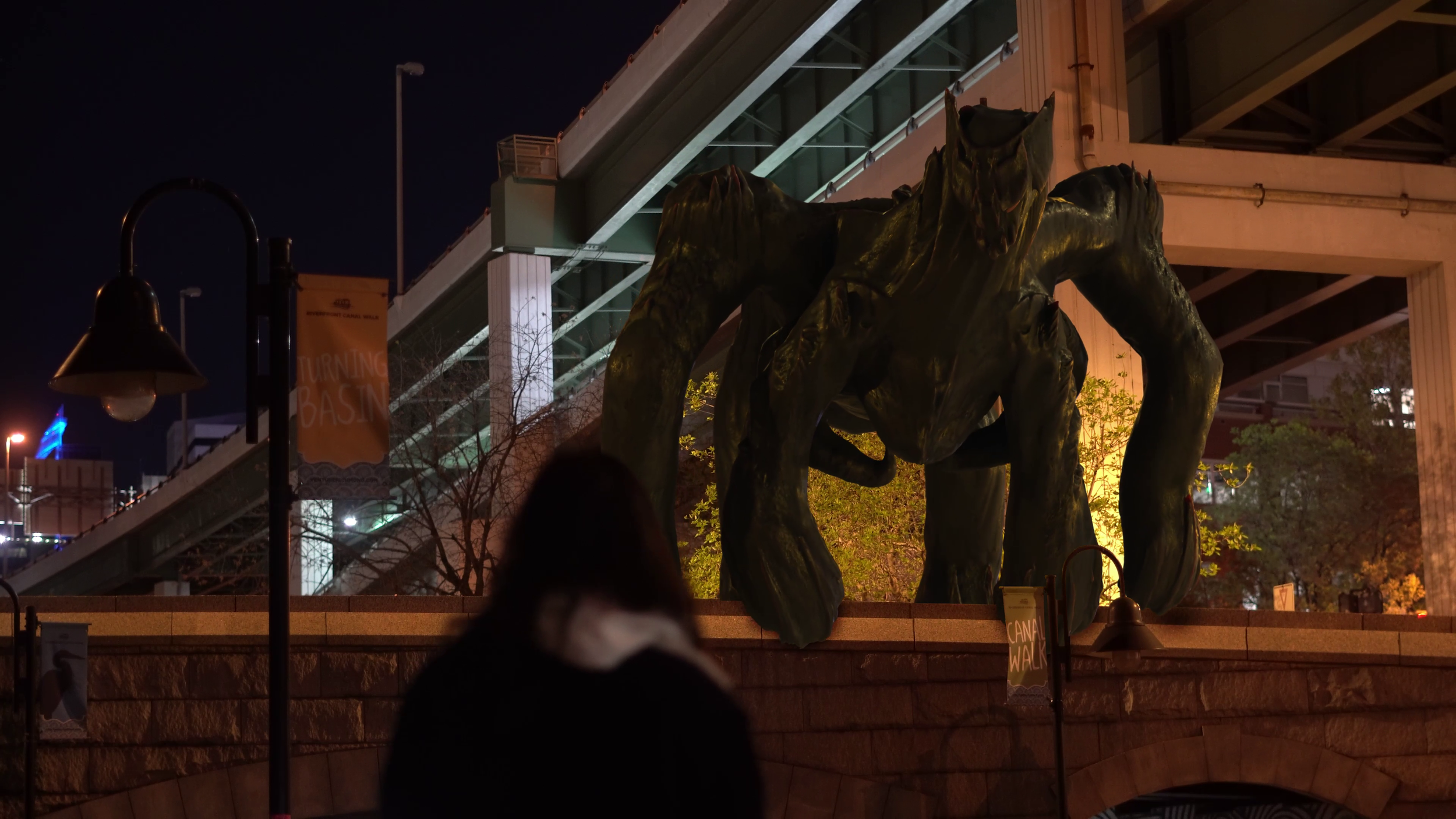 Nighttime view of a bronze sculpture of a dog in a city park, with a woman blurred in the foreground and city lights in the background.