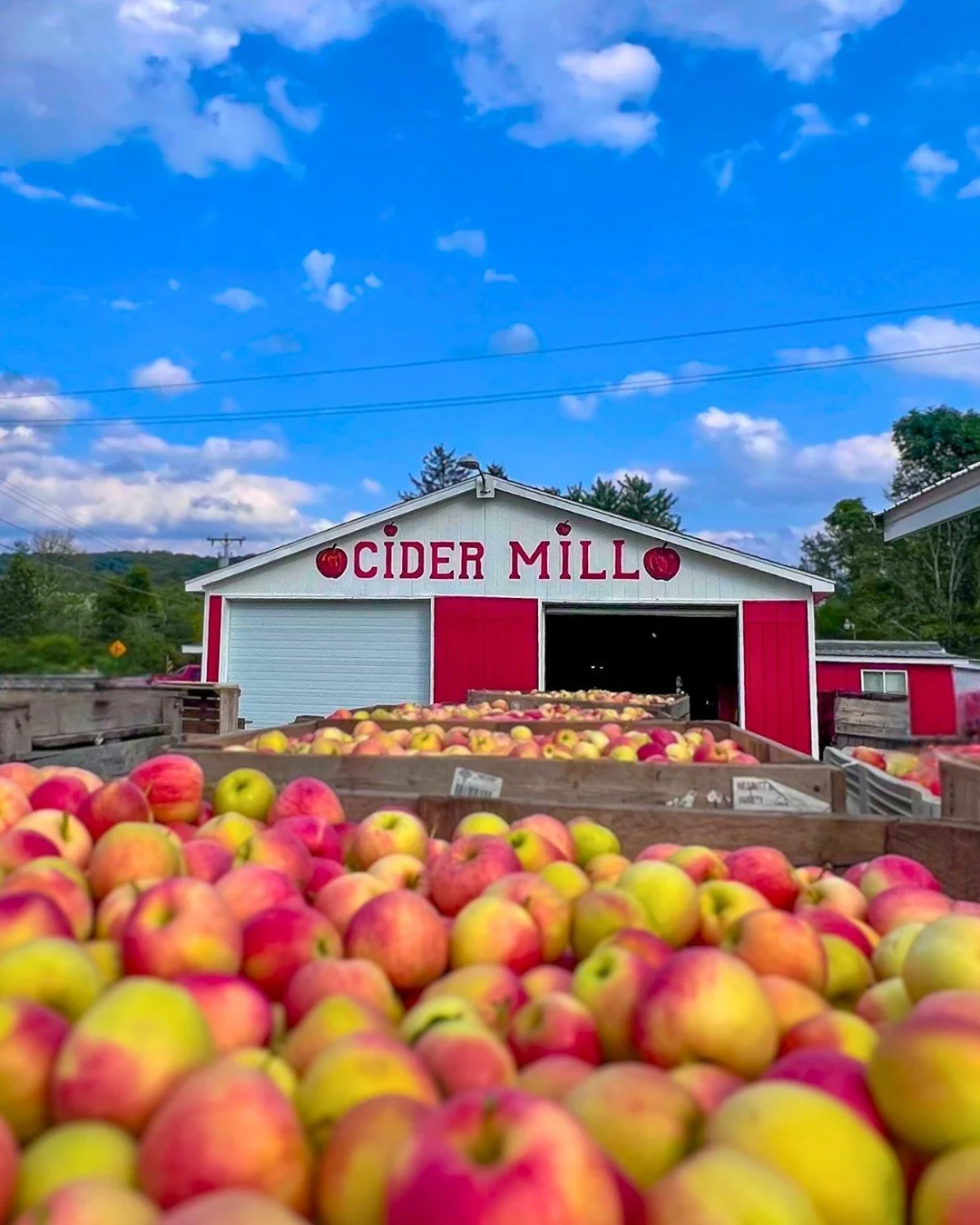 Fall here tastes like cider, donuts, and maple syrup. 🍁🍎

Graves Maple Products was our very first online lead as a marketing agency, and this fall marks one year of working alongside their family. 🍁 When Maple Weekend rolled around, we had our fi