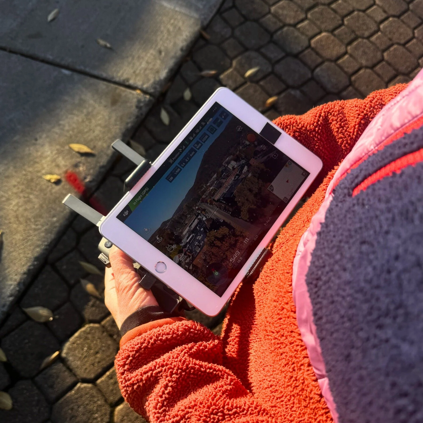 Stick season in Ellicottville &mdash; when the colors fade, and evenings glow.

We&rsquo;ve been chasing the sun lately &mdash; between projects, planning sessions, and too many cups of coffee to count.

Falicia&rsquo;s back in the saddle helping us 