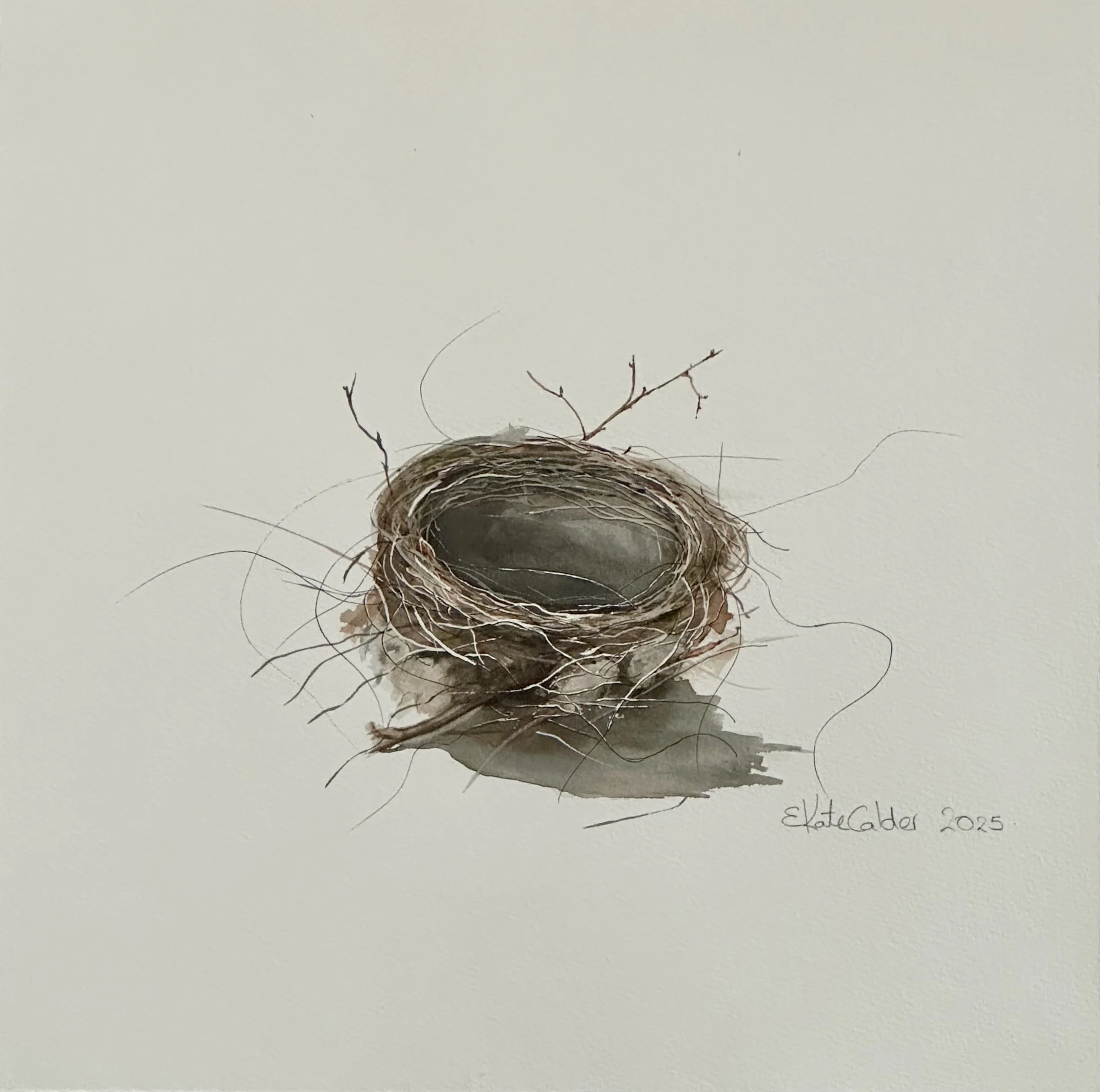 Empty Nest | Kate Calder