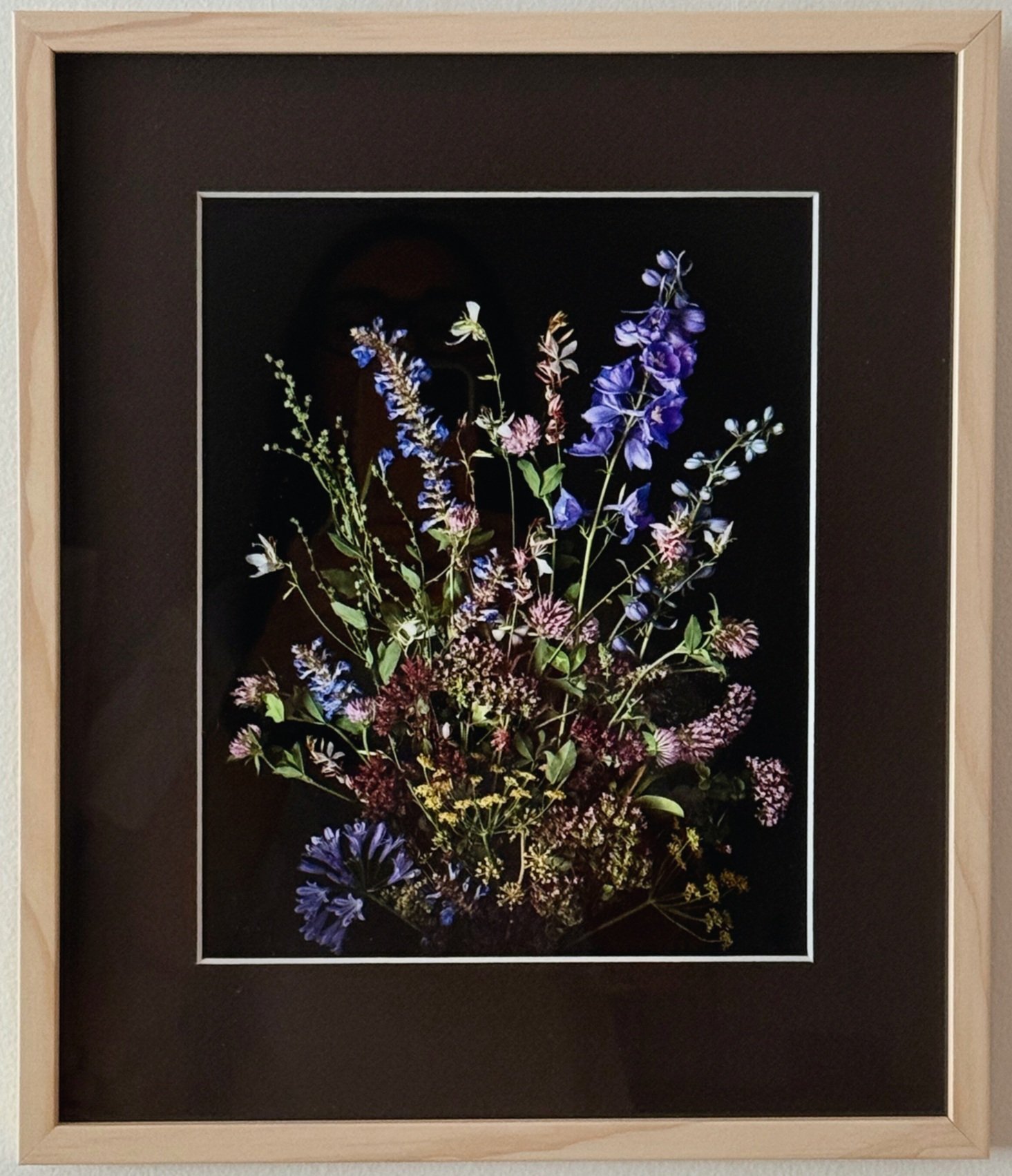 Nicky+Kerr+Botanics+Flower+series+%233.jpg