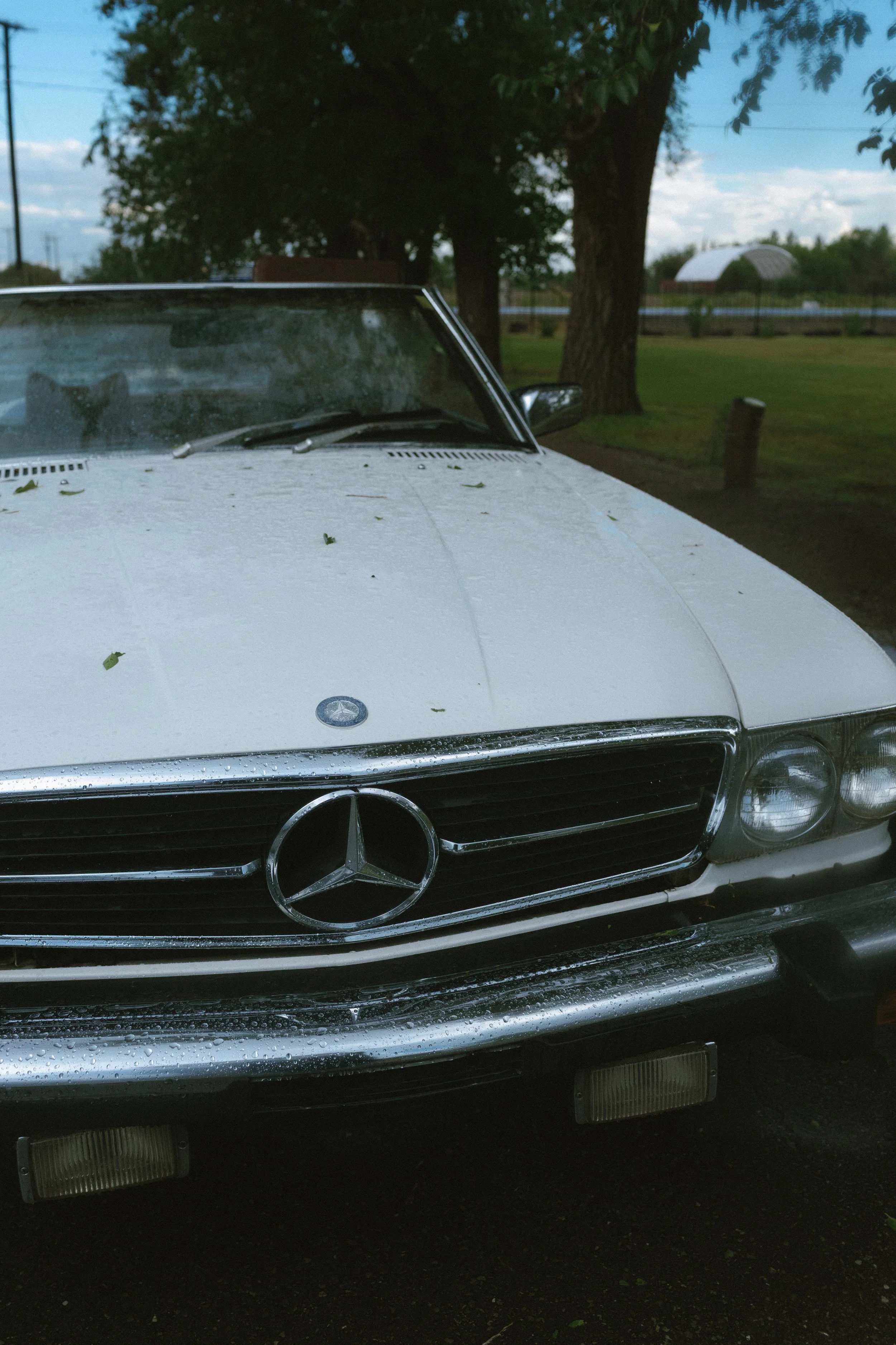 Angeles & Raul Wedidng-148.jpg