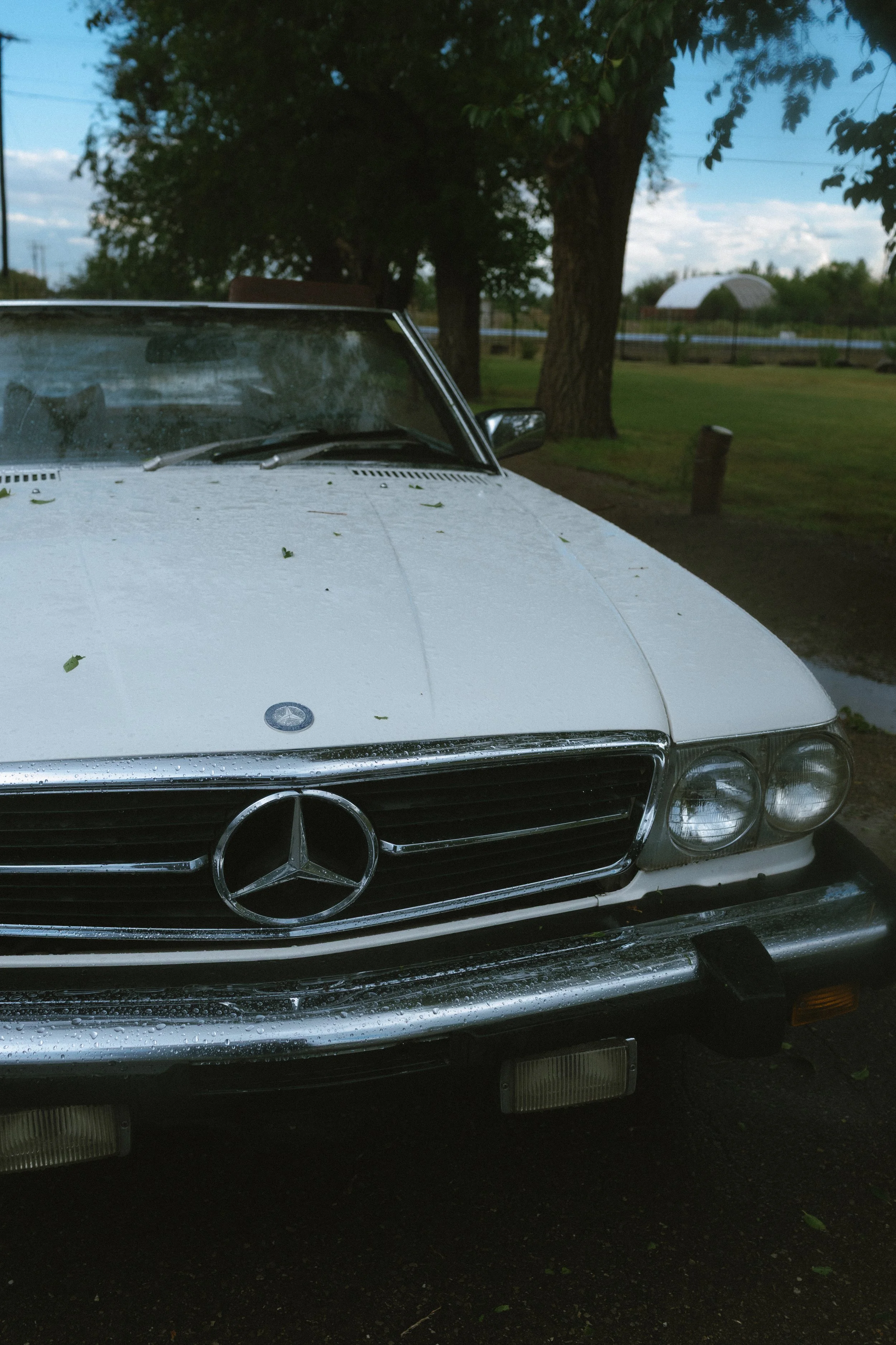 Angeles & Raul Wedidng-149.jpg