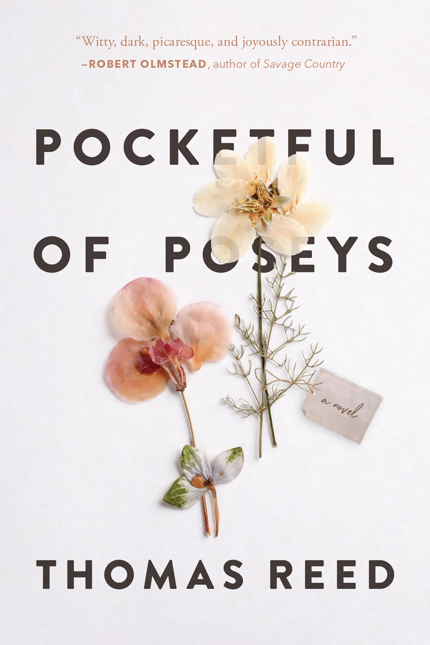 Pocketful-of-Poseys-COVER.jpg