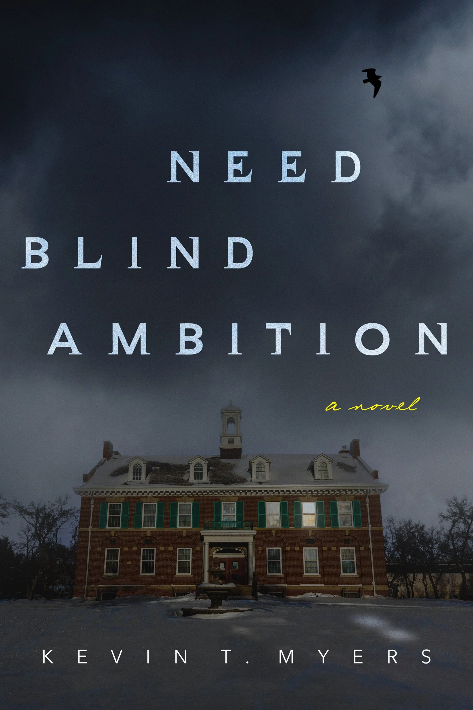 Need-Blind-Ambition-COVER.jpg