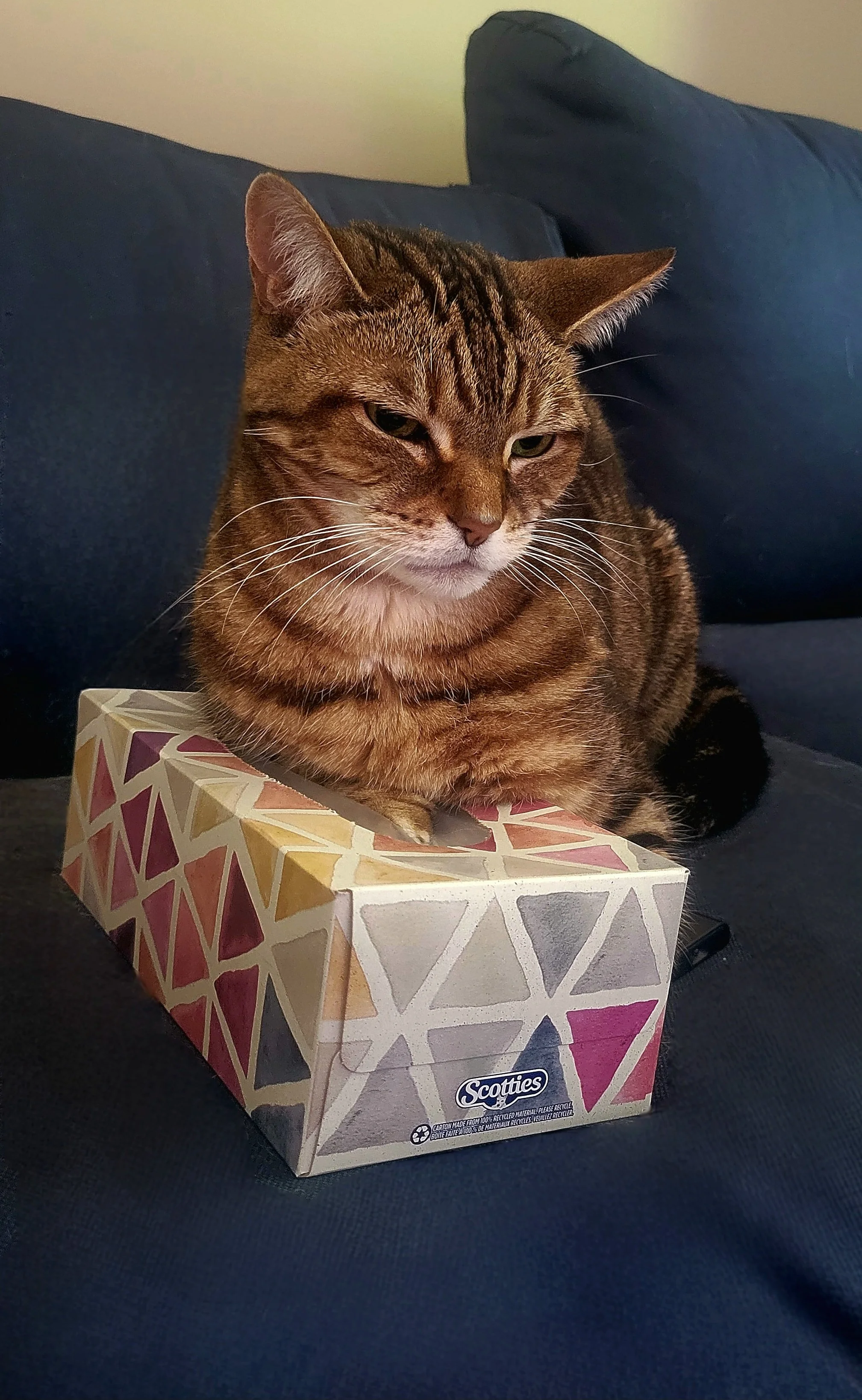 20240914_140155.jpg