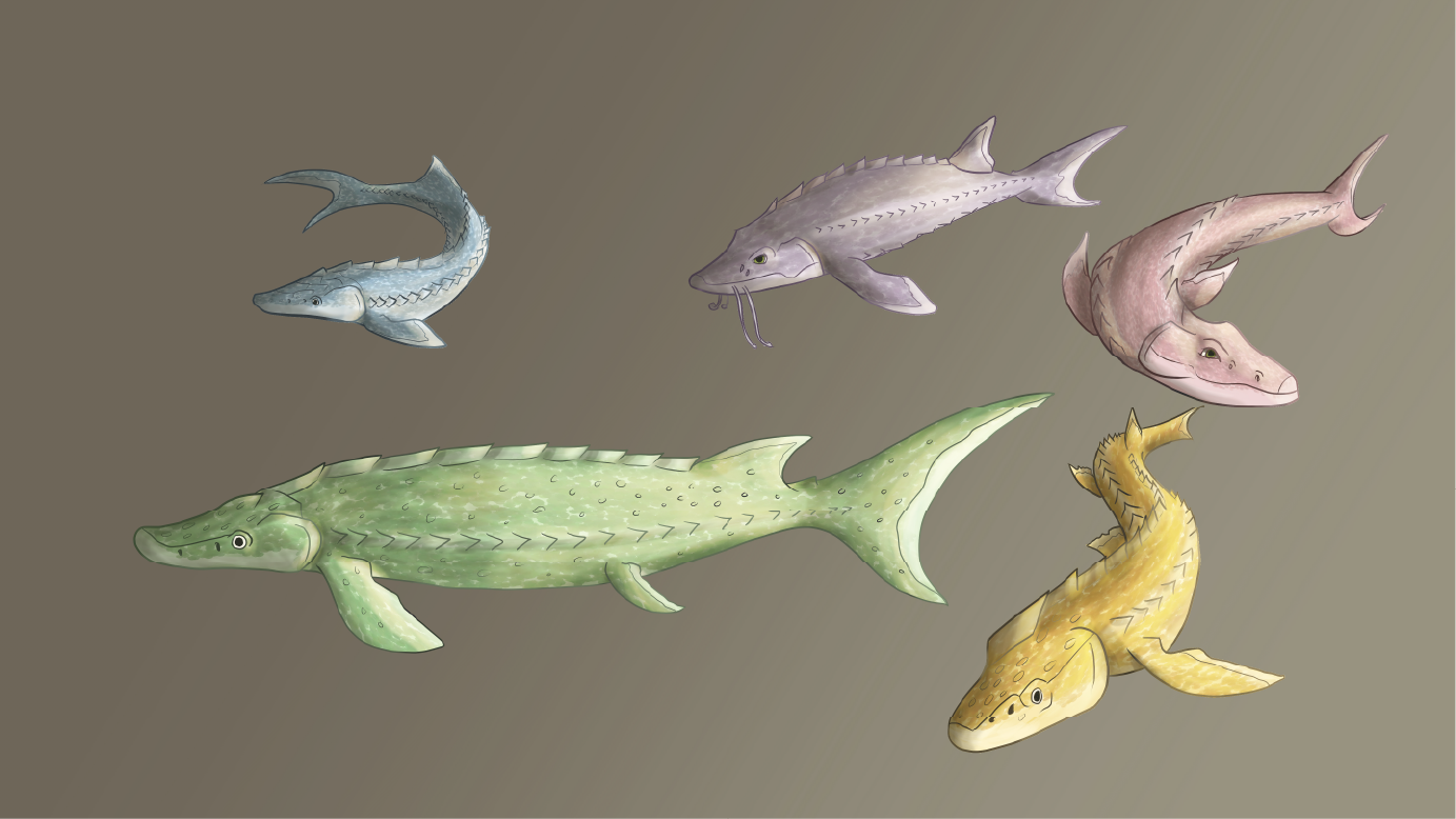 sturgeon.webp